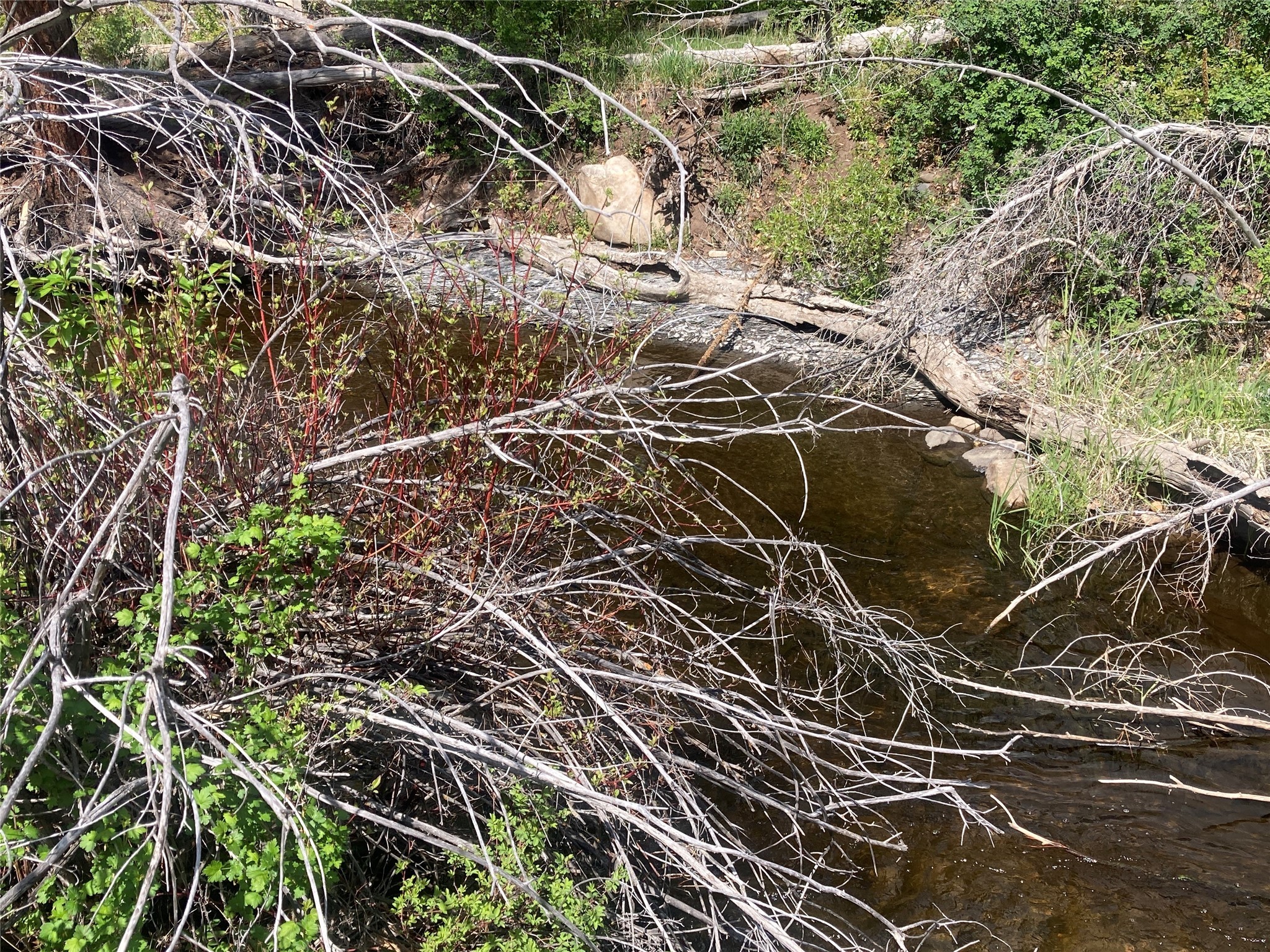 TBD Indian Paintbrush/creekside Tract, Chama, New Mexico image 19