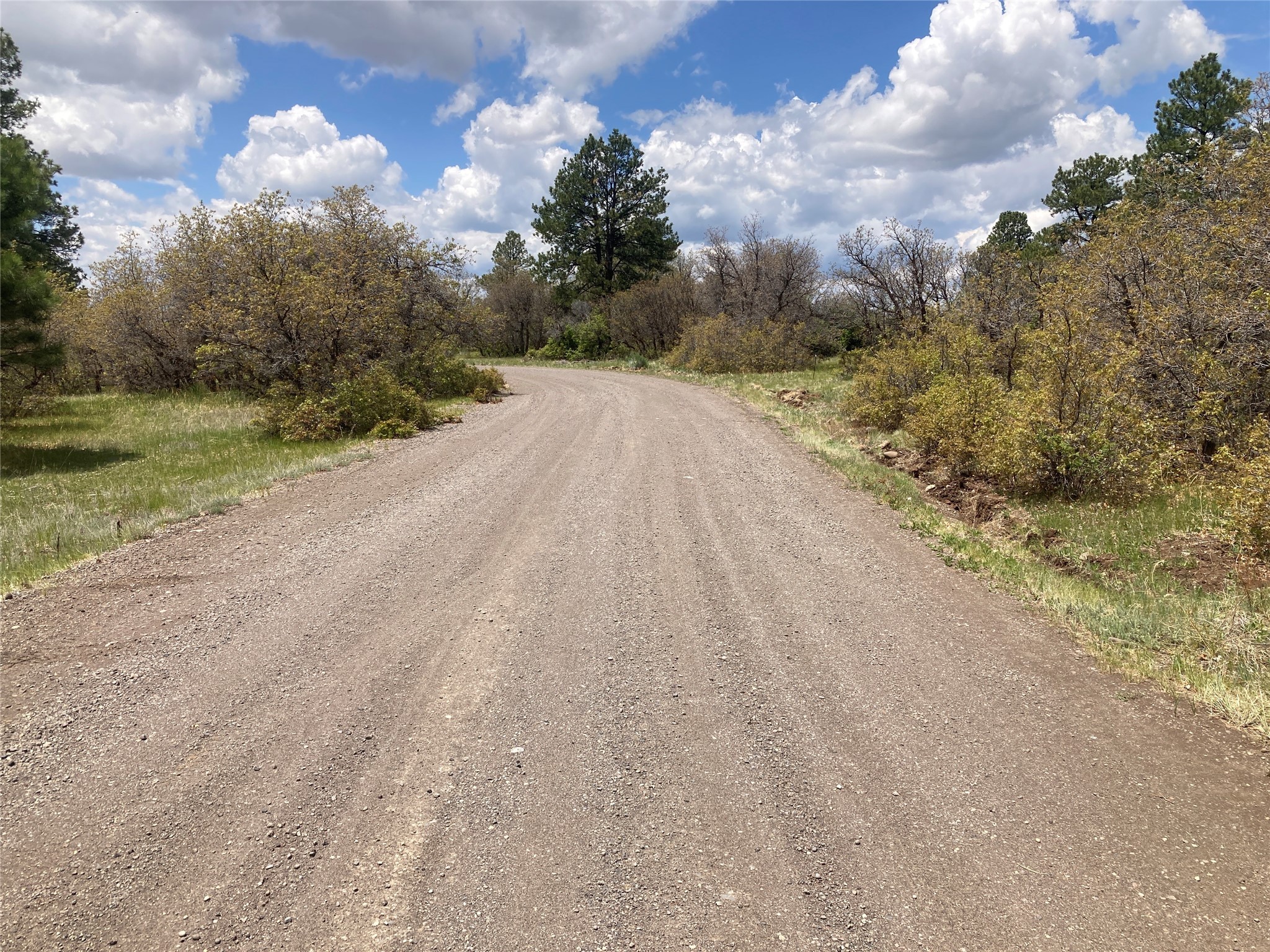 TBD Indian Paintbrush/creekside Tract, Chama, New Mexico image 22