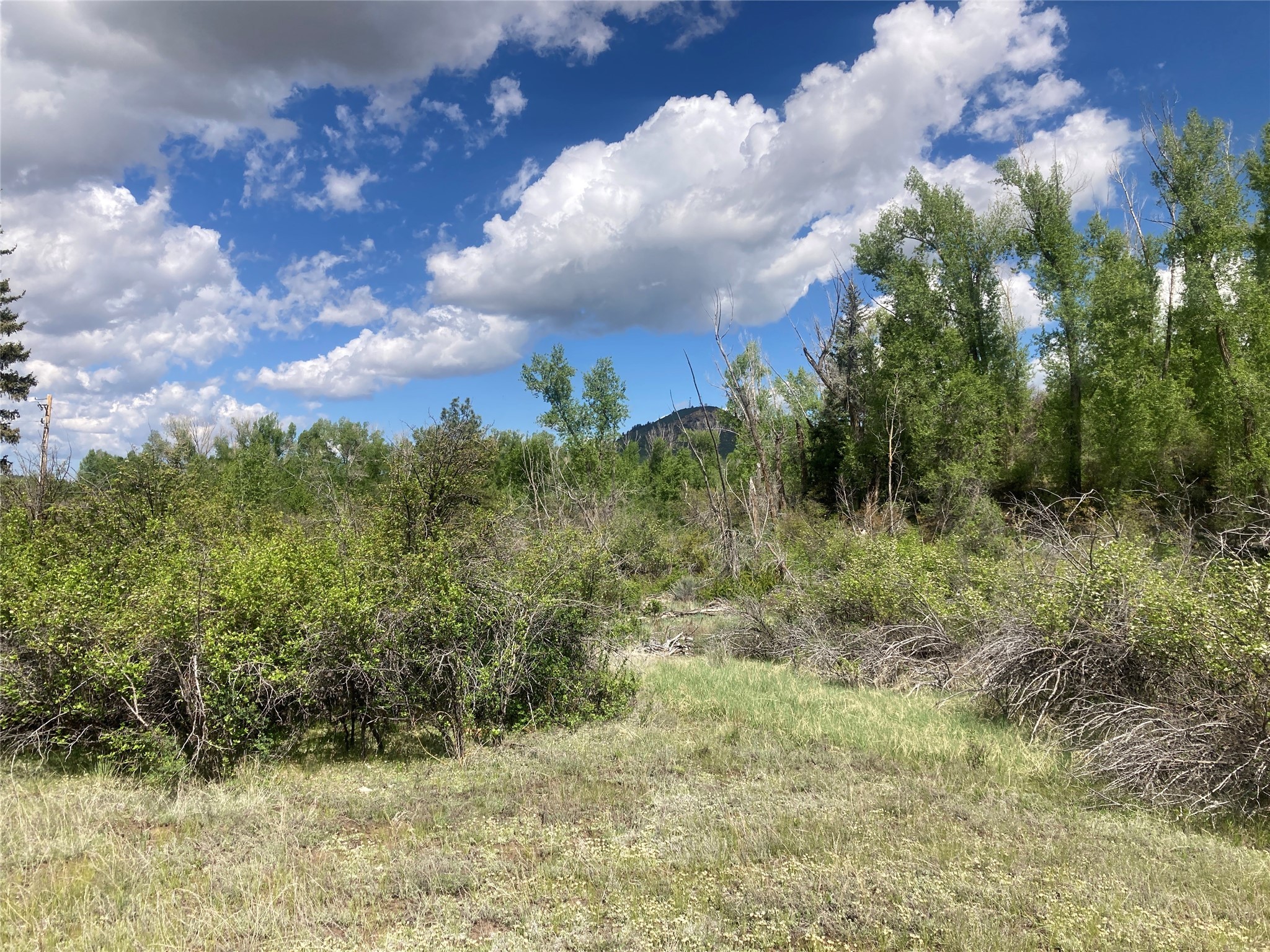 TBD Indian Paintbrush/creekside Tract, Chama, New Mexico image 21