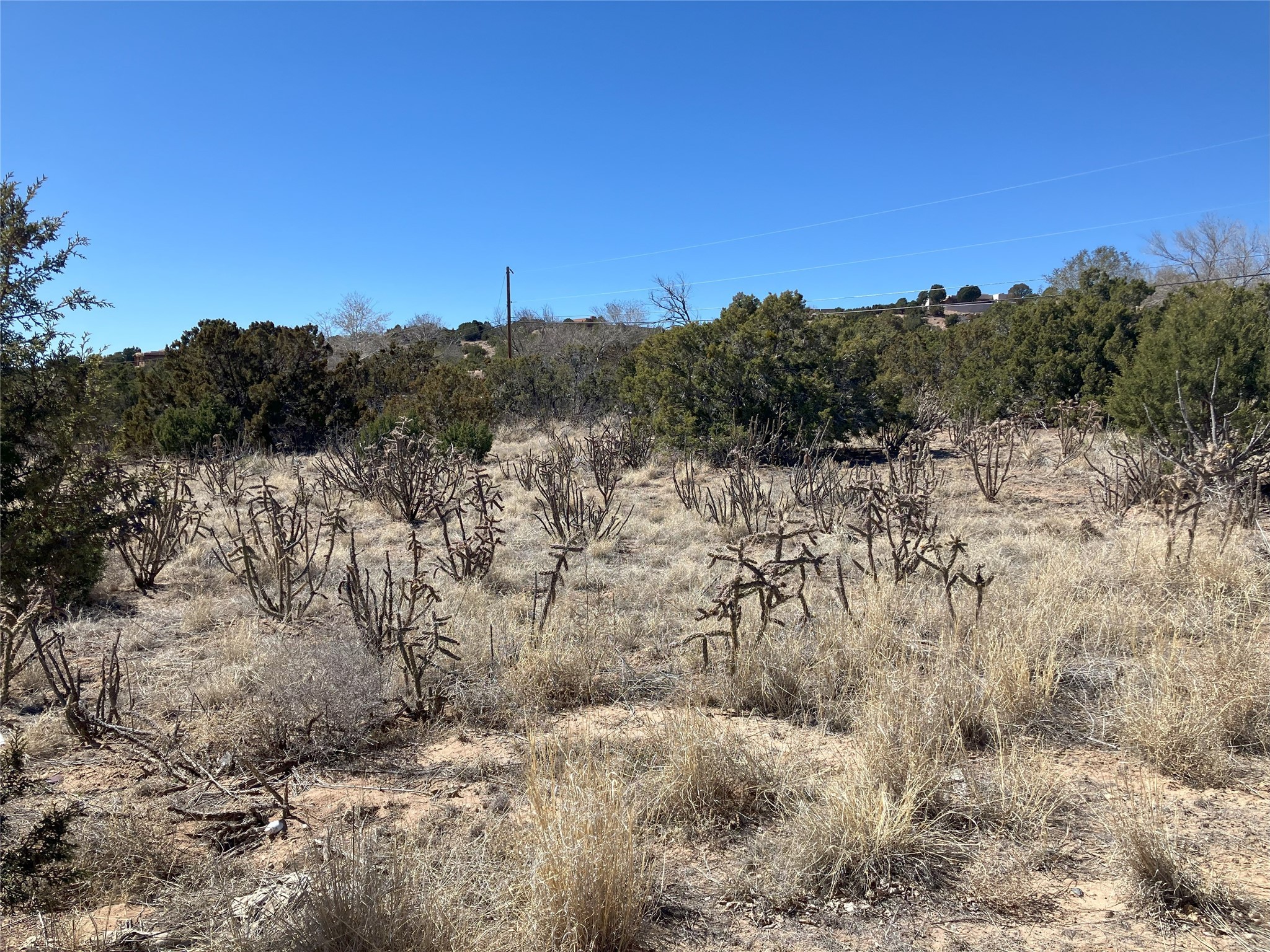 Boylan Country, Santa Fe, New Mexico image 22