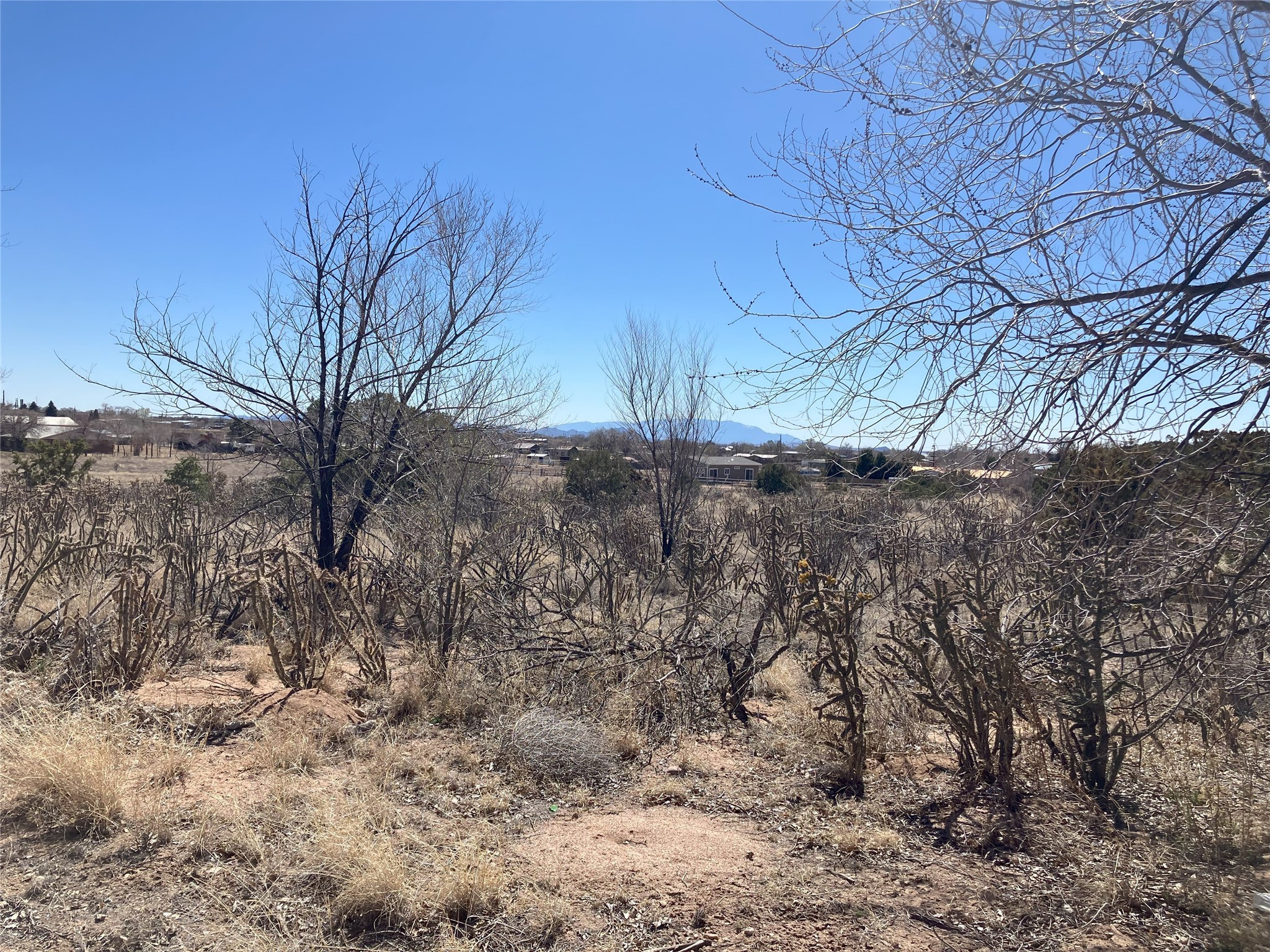 Boylan Country, Santa Fe, New Mexico image 18