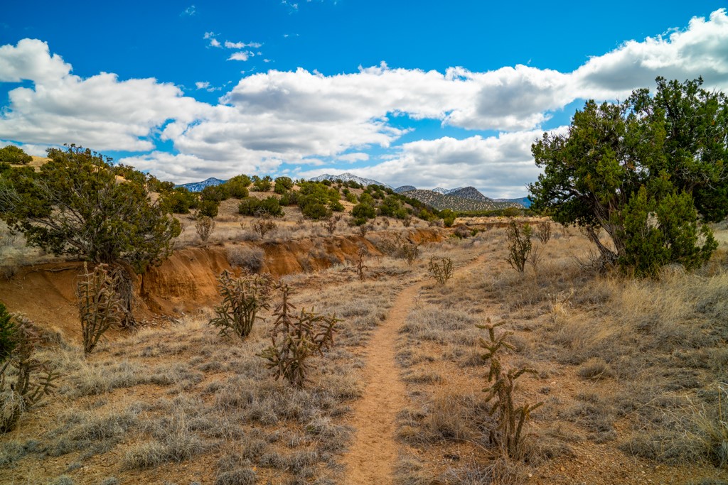 101 Sendero De Toho, Cerrillos, New Mexico image 45