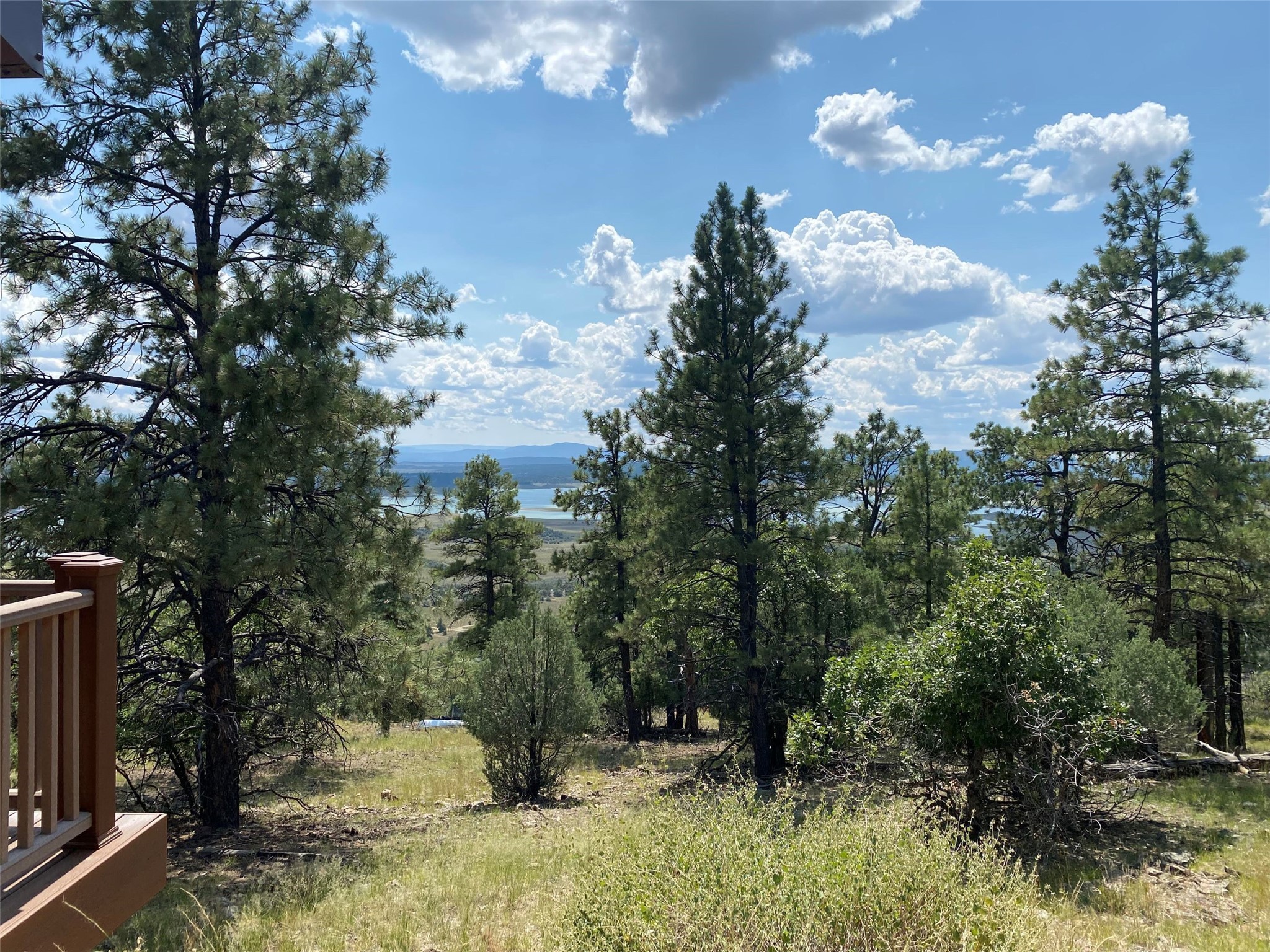 56A Elk Lane Ln, Los Ojos, New Mexico image 4