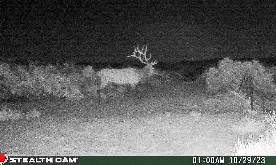 Sevilleta Hills Elk Ranch, Socorro, New Mexico image 14