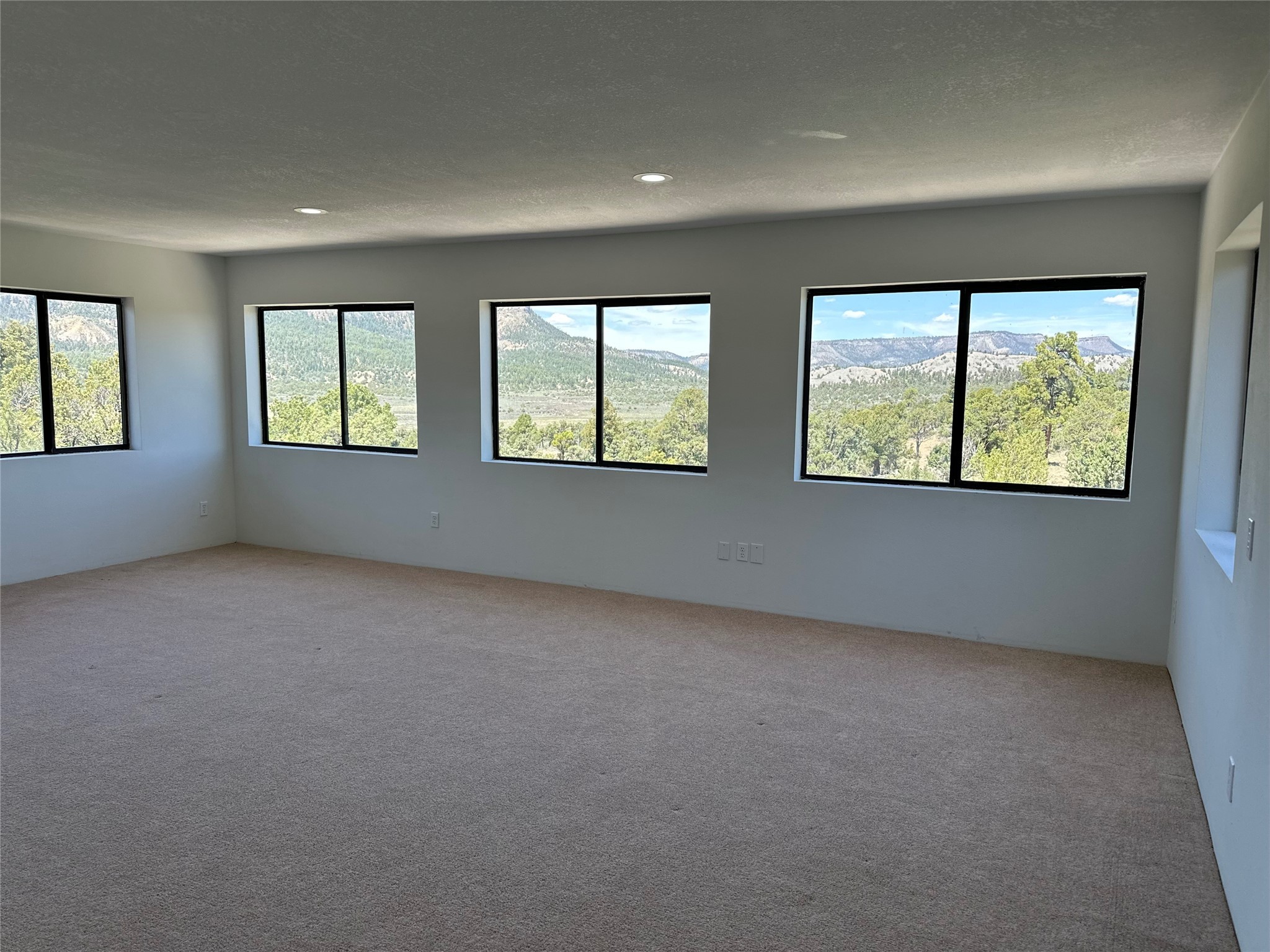 42 Christy Lane, Los Ojos, New Mexico image 15