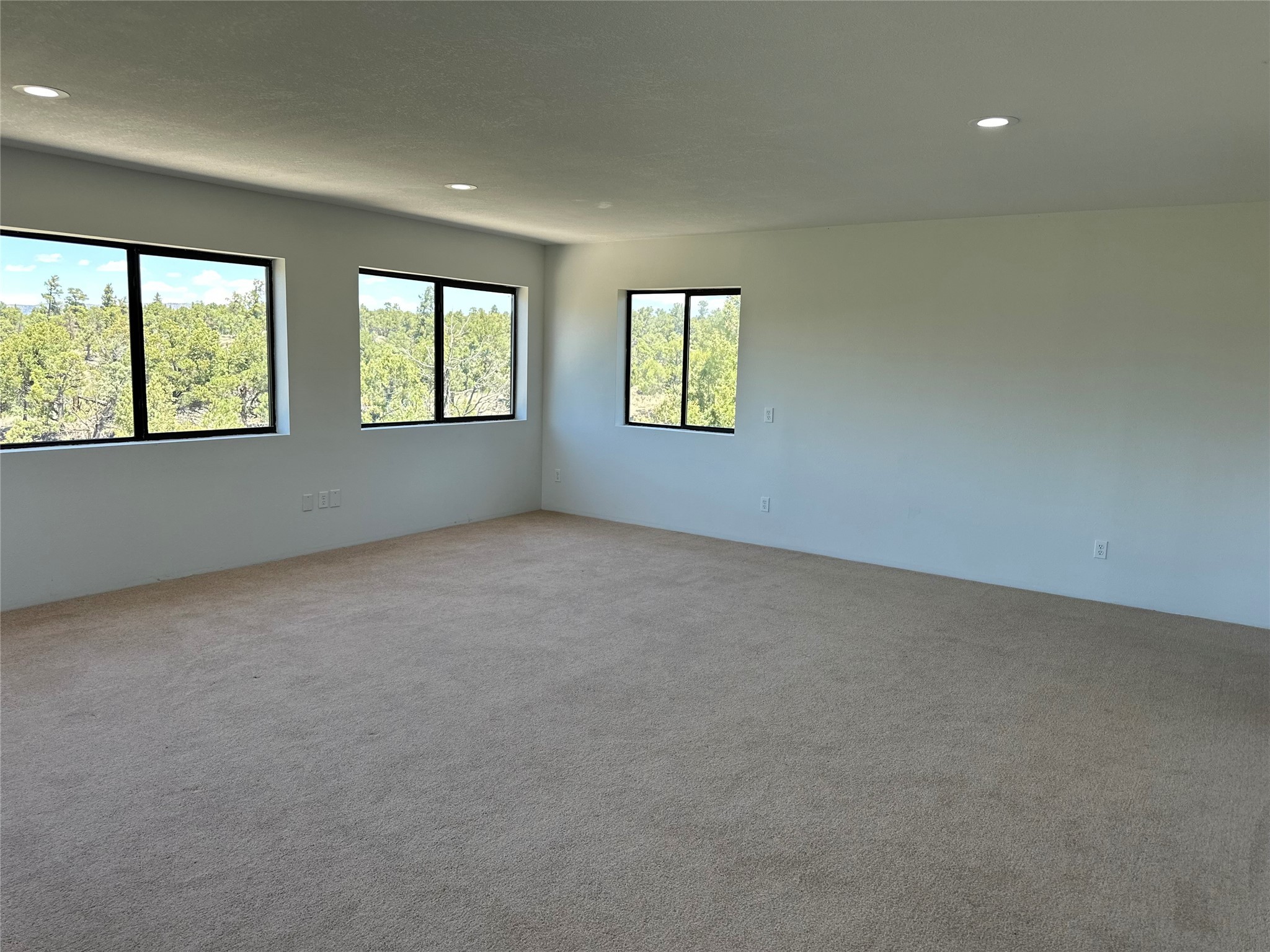 42 Christy Lane, Los Ojos, New Mexico image 14