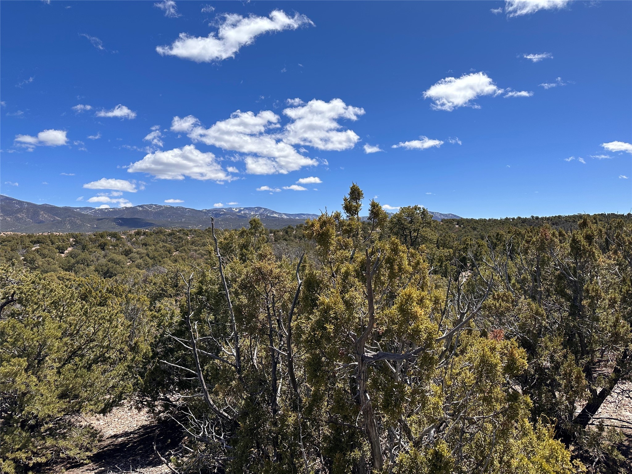 4019 Via Verdi, Lot 227, Santa Fe, New Mexico image 5