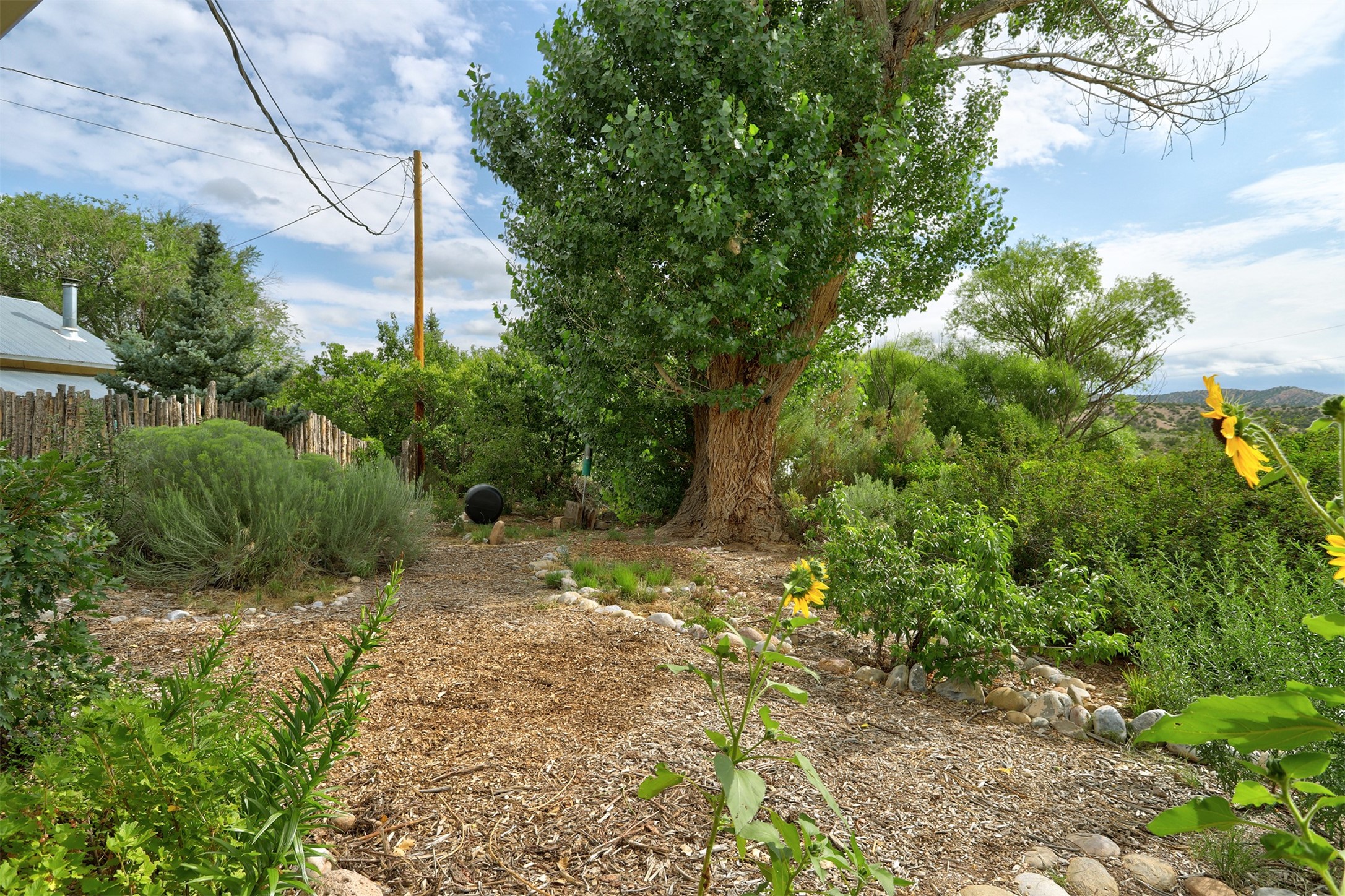 133 State Road 215, El Rito, New Mexico image 30