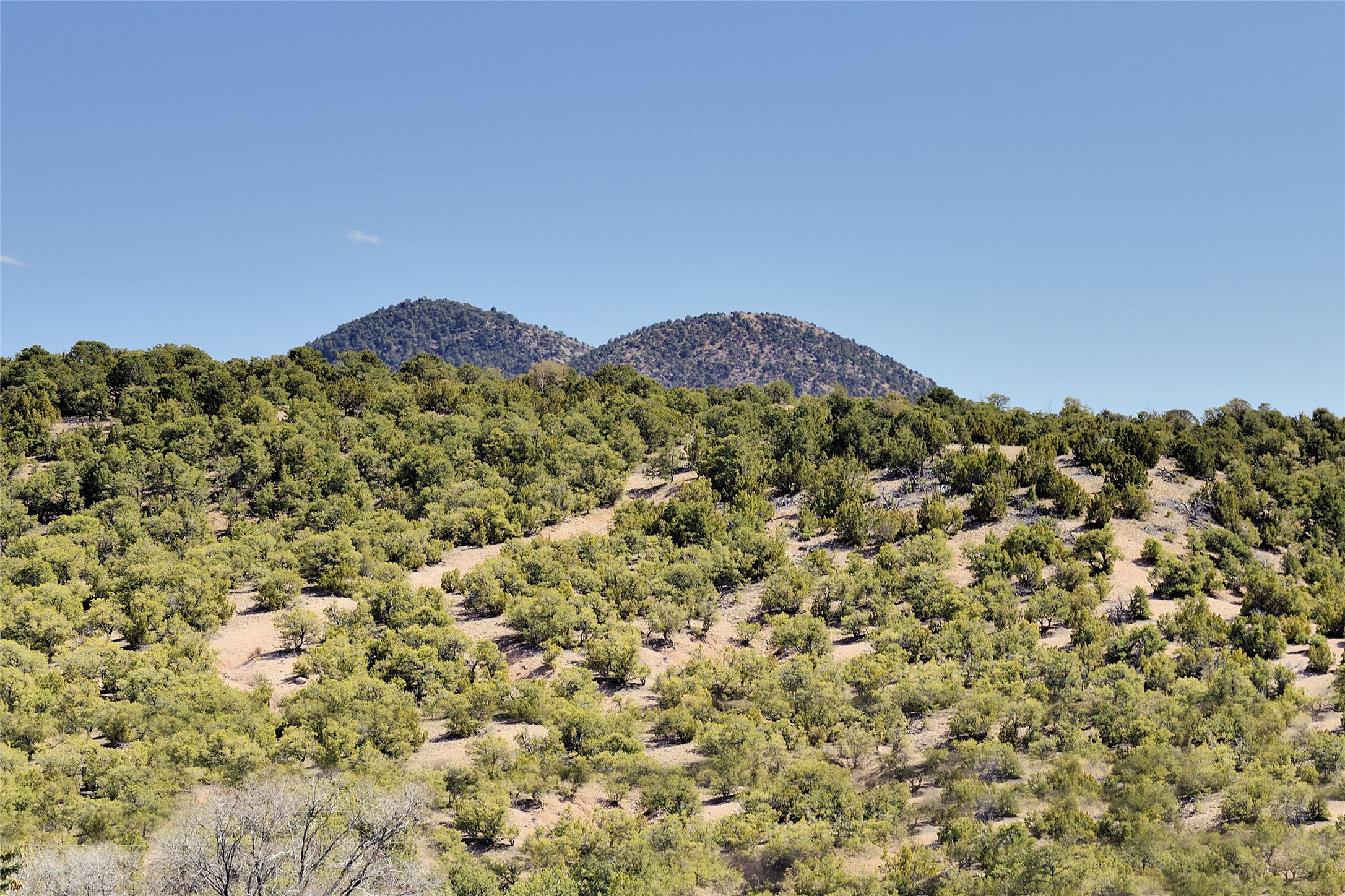 789 Stagecoach Circle, Santa Fe, New Mexico image 38