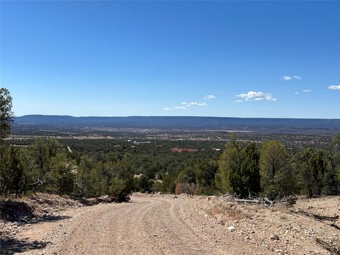Vacant Land For Sale - 239.1 Acres<br/> San Jose, NM 87569