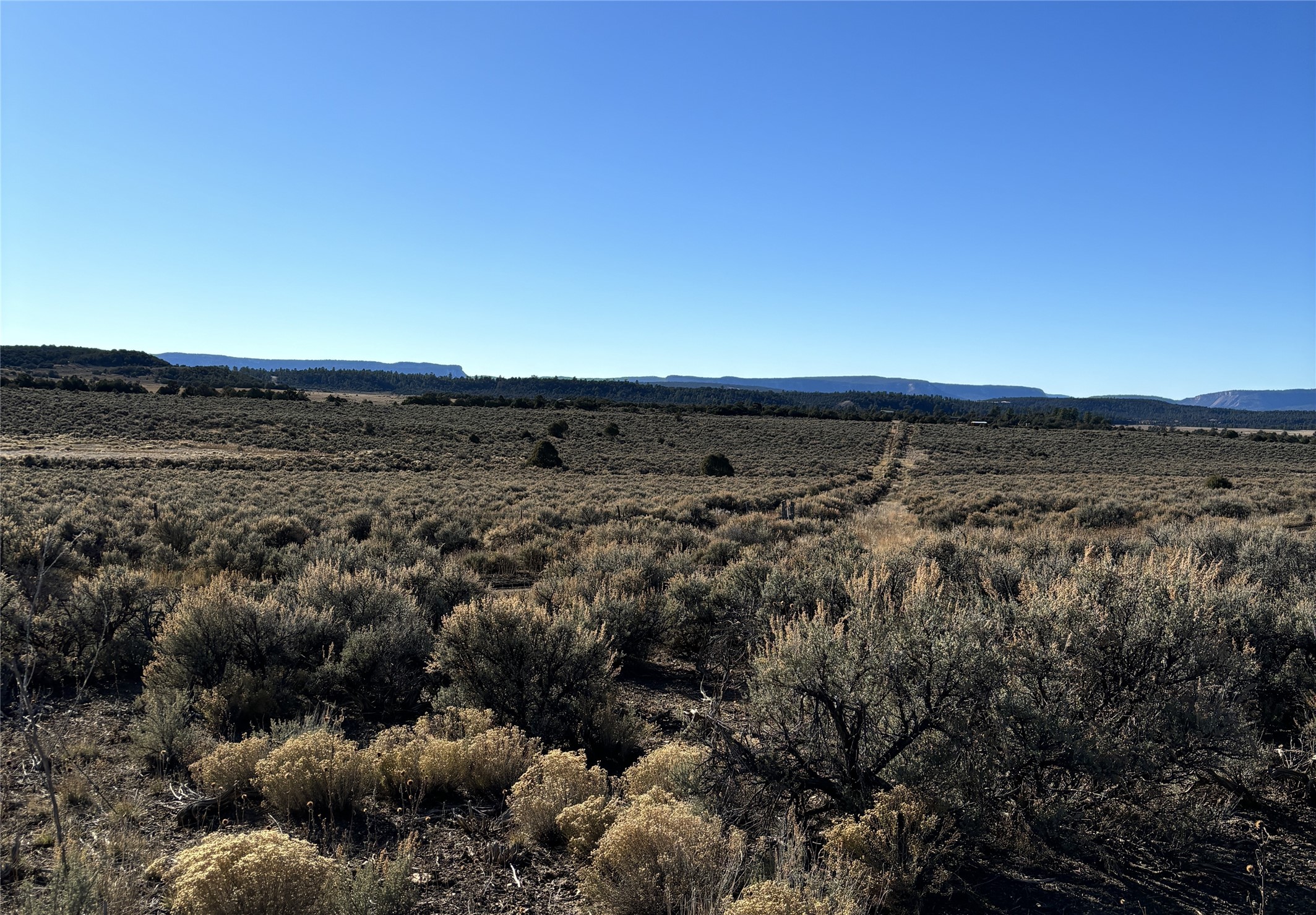 TBD Talavera Unit 4 Lot 40, Tierra Amarilla, New Mexico image 3