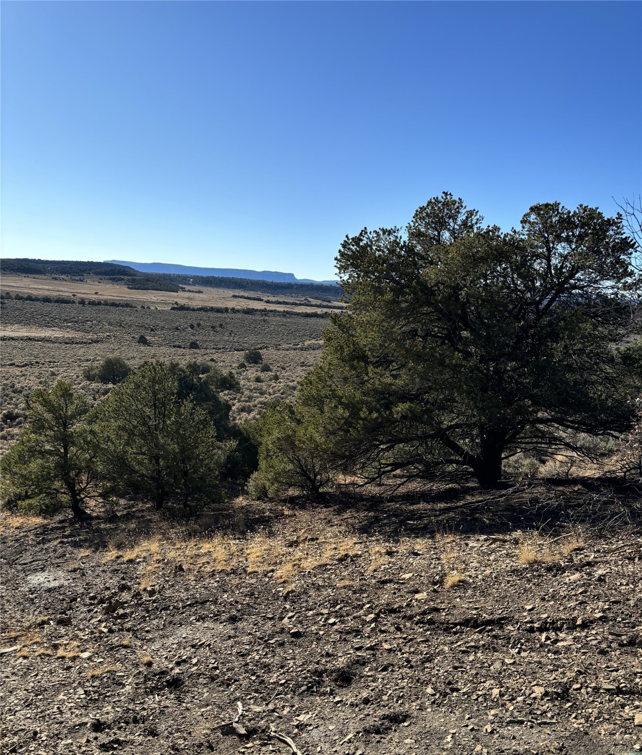 TBD Talavera Unit 4 Lot 40, Tierra Amarilla, New Mexico image 4