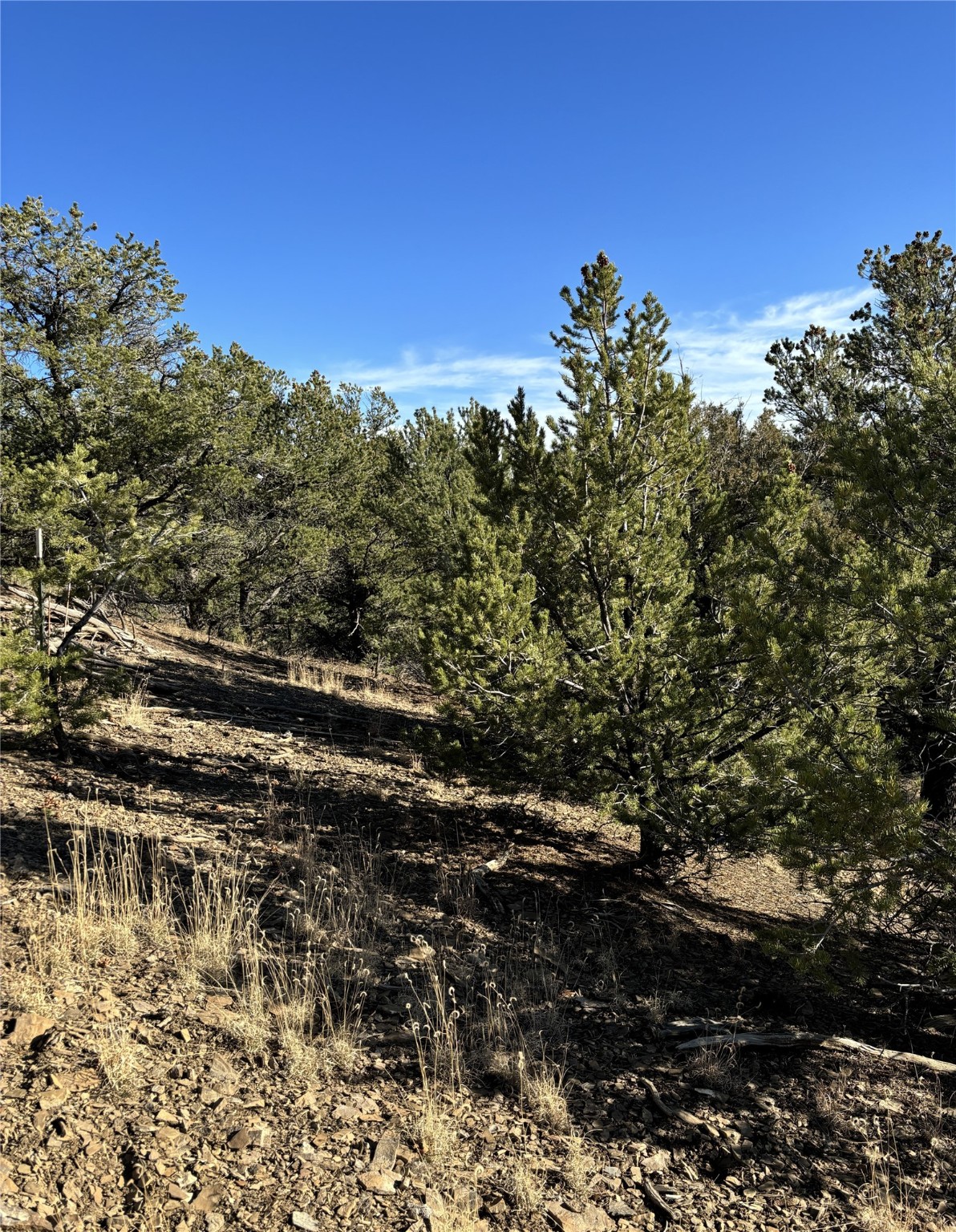 TBD Talavera Unit 4 Lot 40, Tierra Amarilla, New Mexico image 7