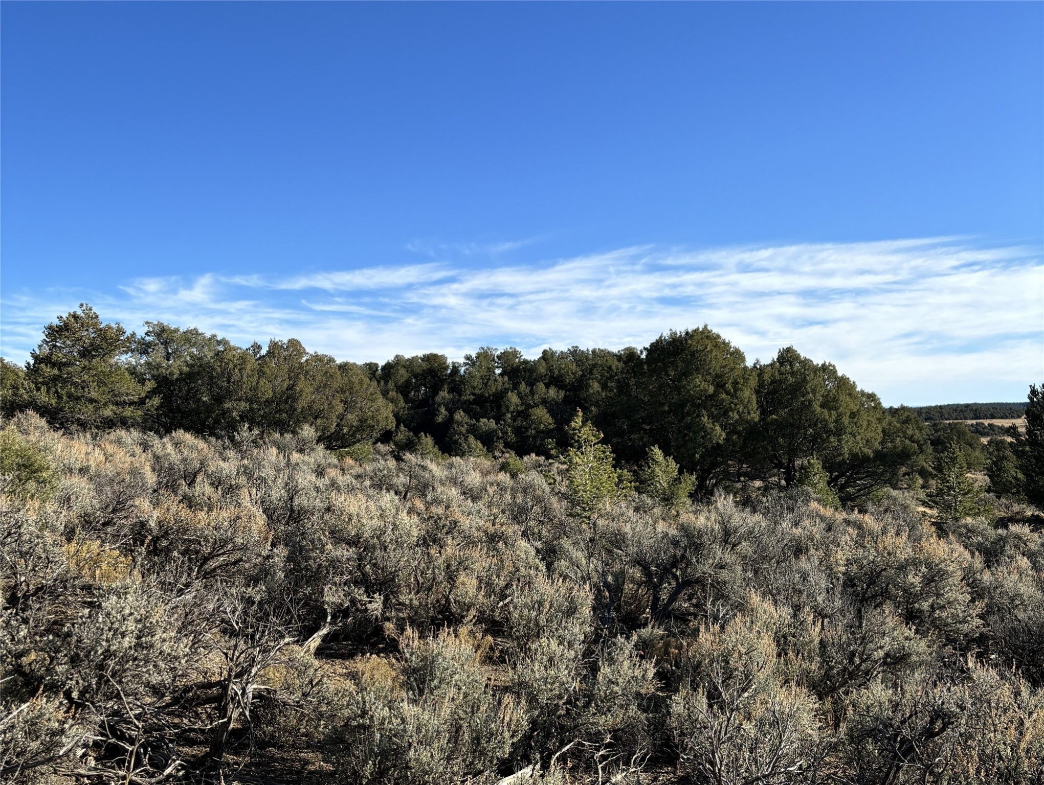 TBD Talavera Unit 4 Lot 40, Tierra Amarilla, New Mexico image 8