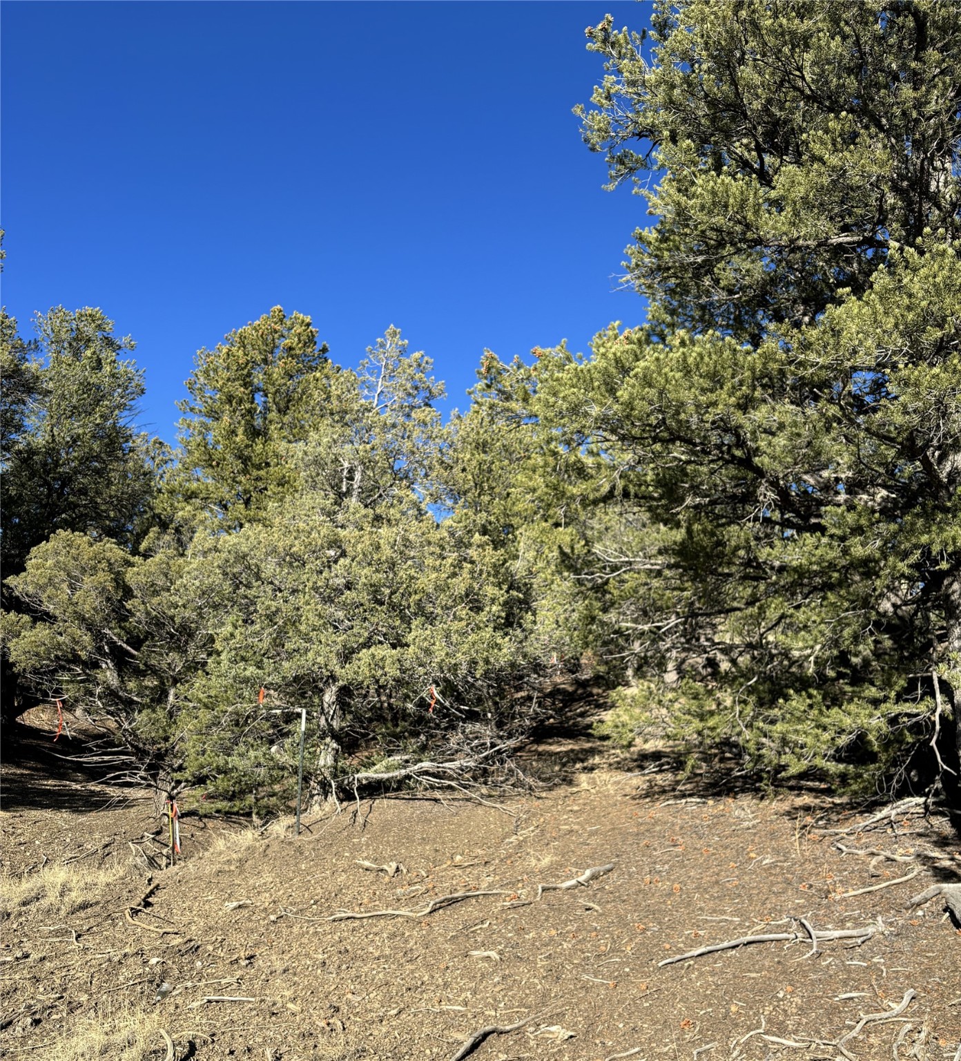 TBD Talavera Unit 4 Lot 40, Tierra Amarilla, New Mexico image 10