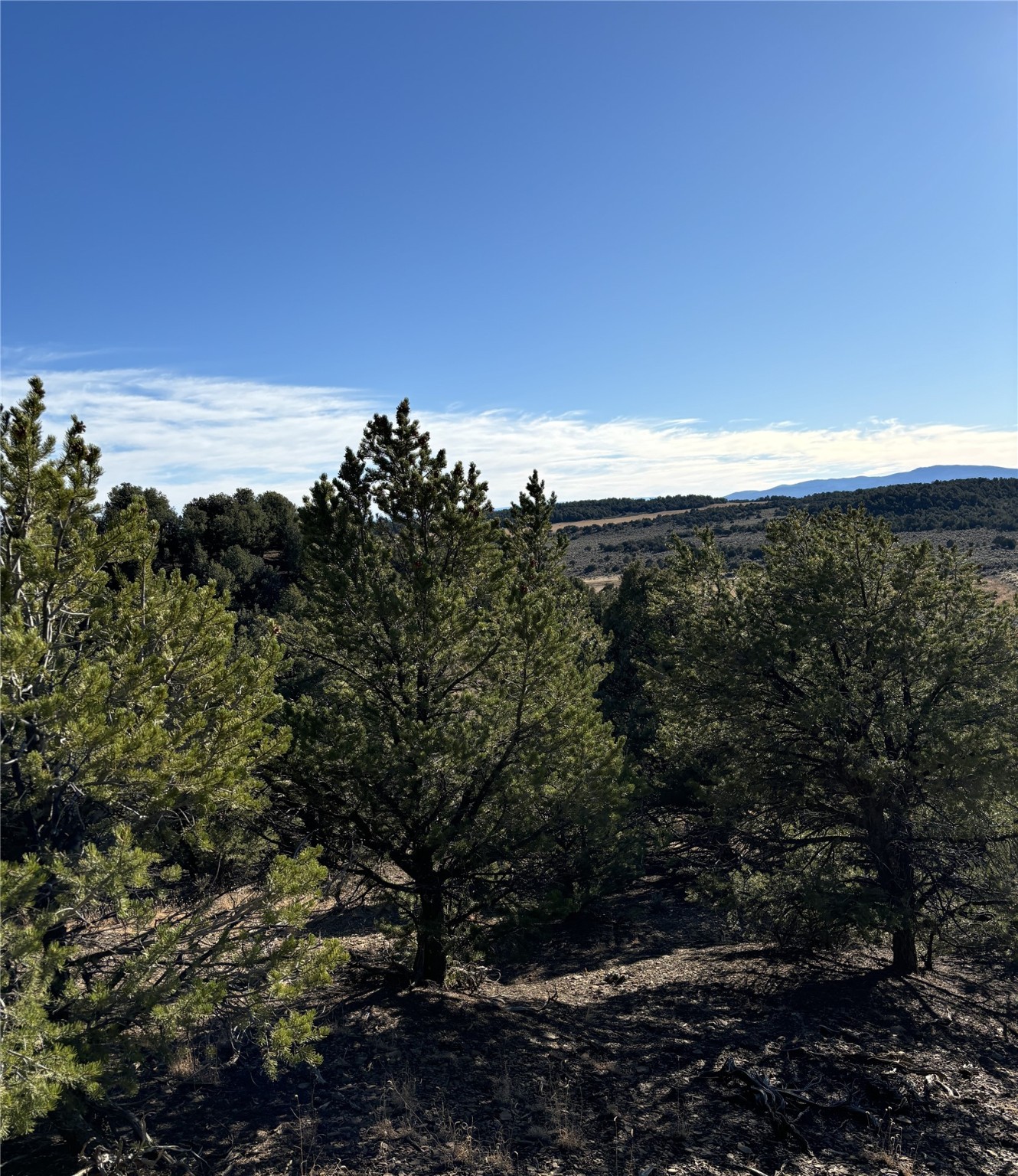 TBD Talavera Unit 4 Lot 40, Tierra Amarilla, New Mexico image 6