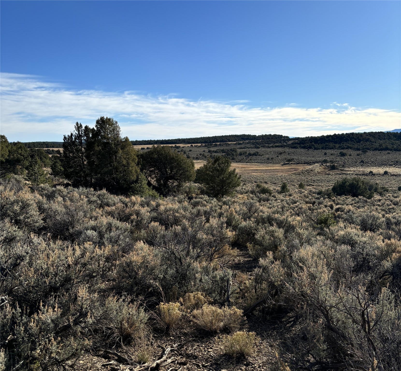 TBD Talavera Unit 4 Lot 40, Tierra Amarilla, New Mexico image 9