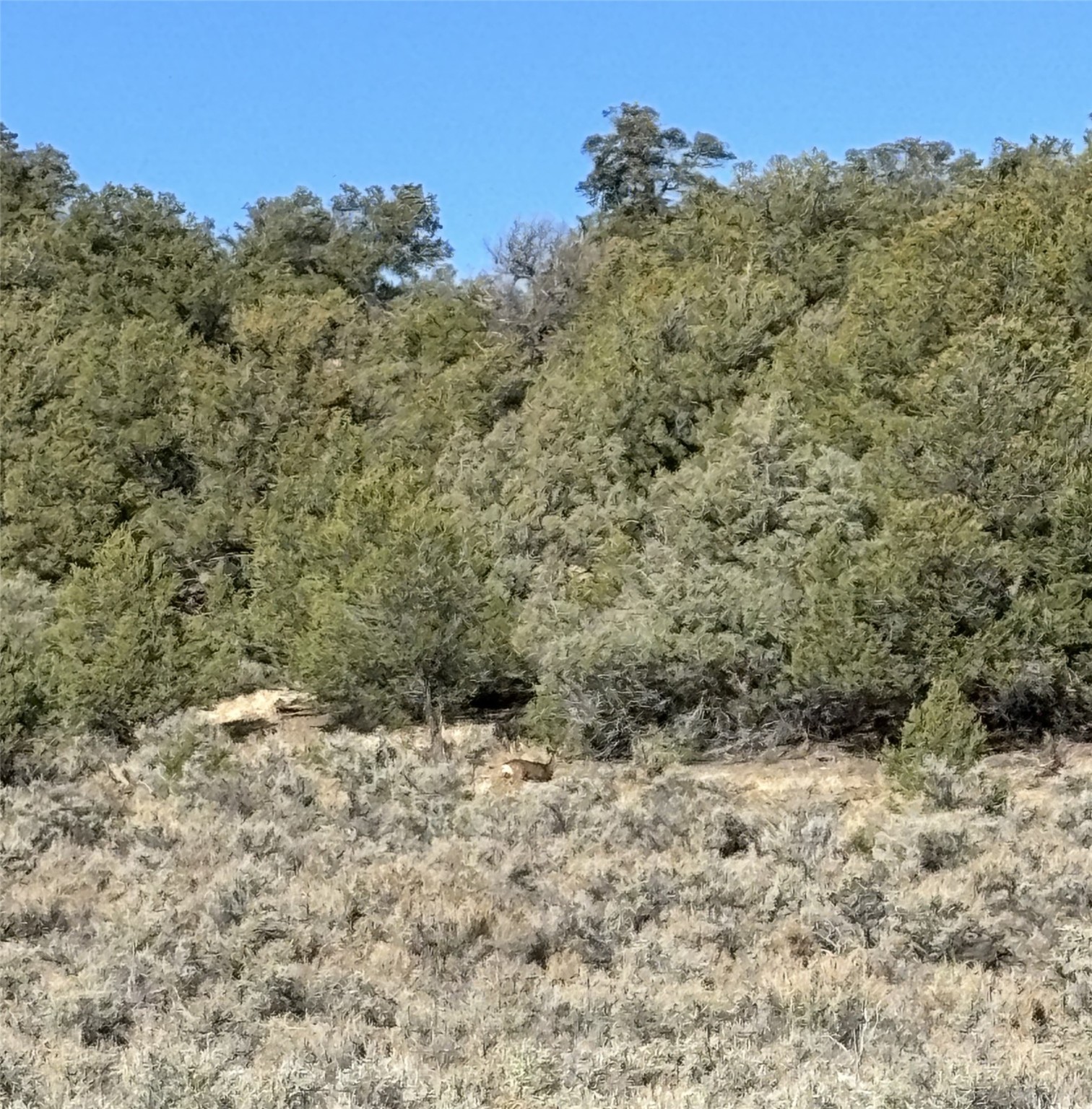 TBD Talavera Unit 4 Lot 40, Tierra Amarilla, New Mexico image 1