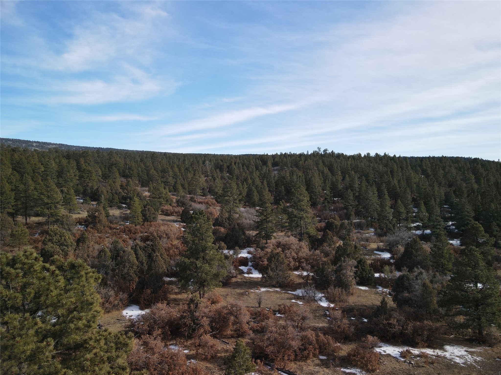 TBD Cr 310, Cebolla, New Mexico image 6
