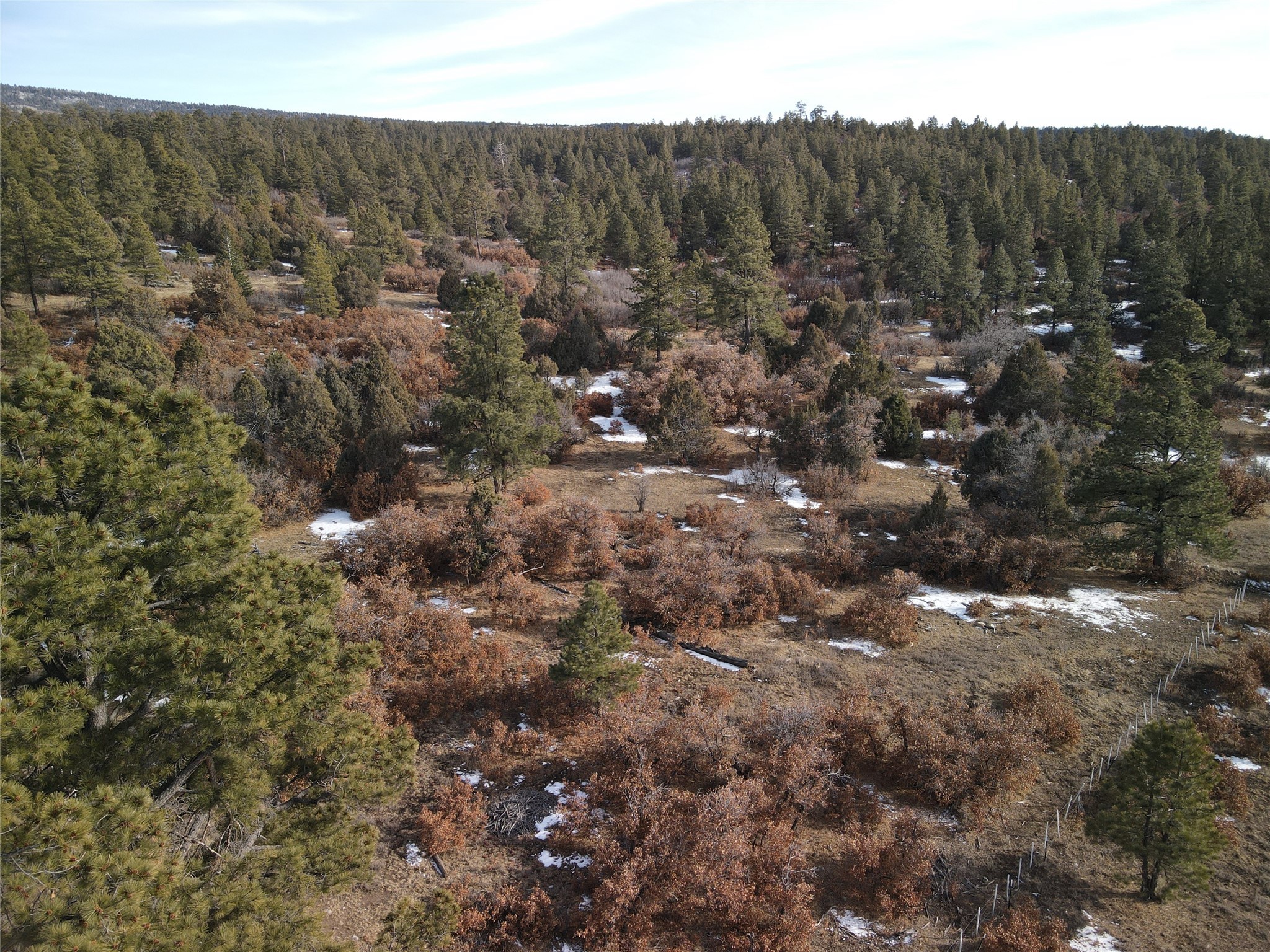 TBD Cr 310, Cebolla, New Mexico image 5