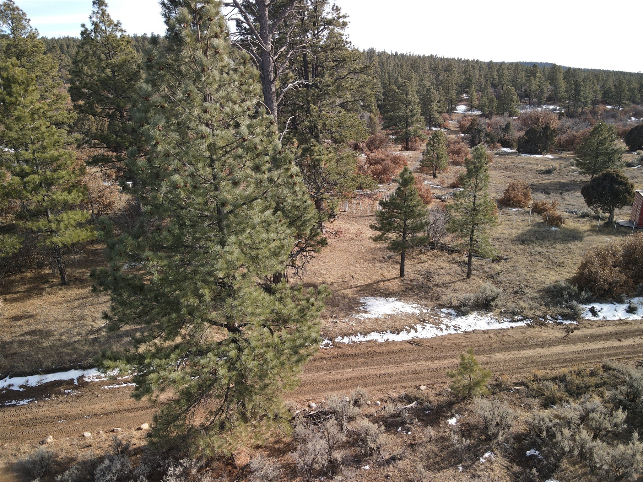 TBD Cr 310, Cebolla, New Mexico image 2