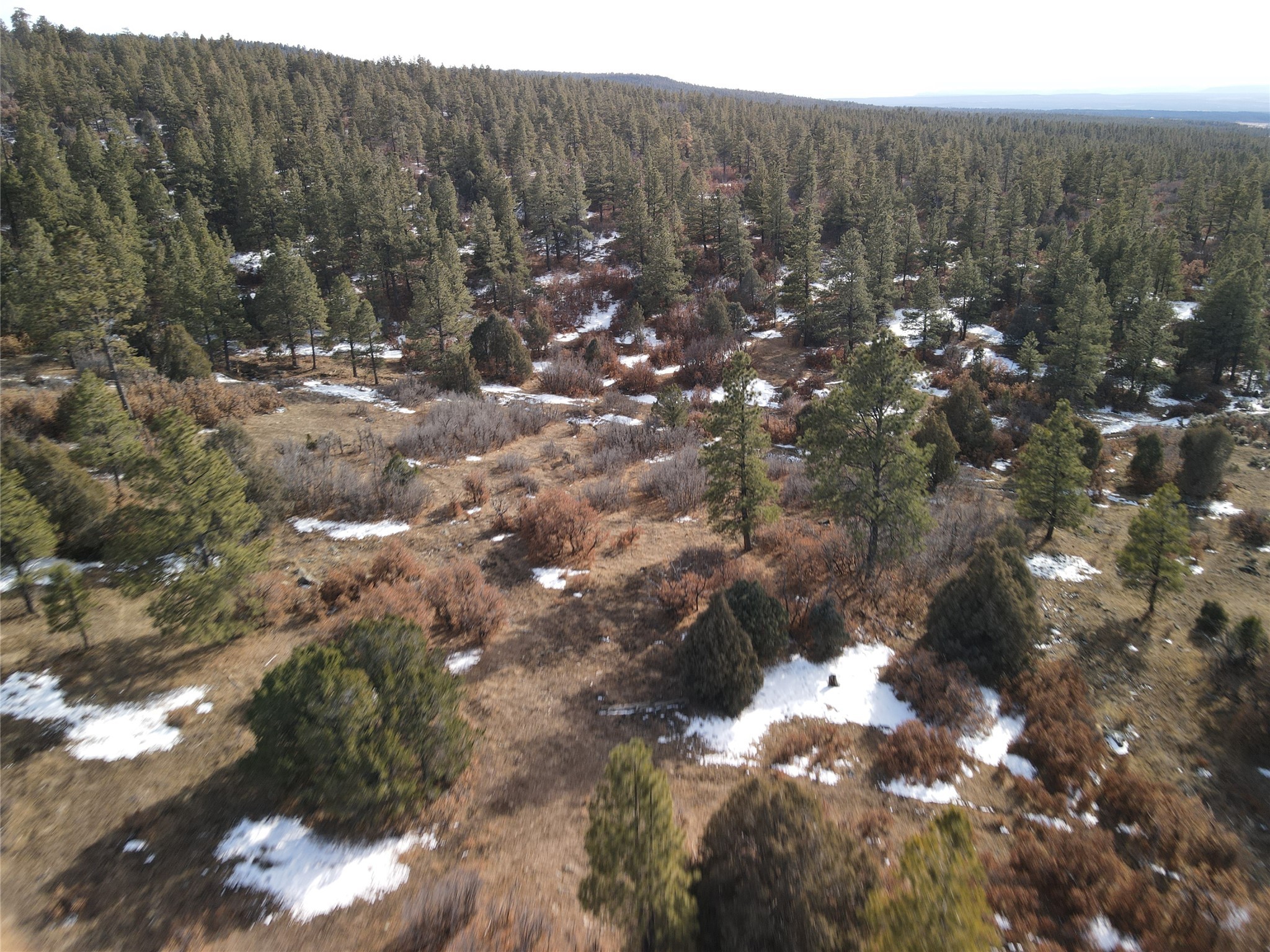 TBD Cr 310, Cebolla, New Mexico image 1