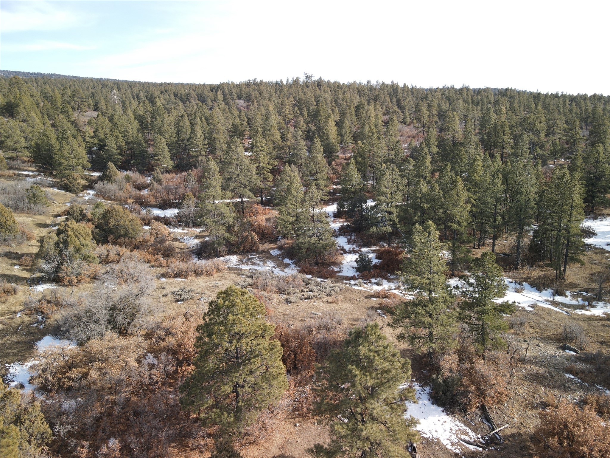 TBD Cr 310, Cebolla, New Mexico image 11