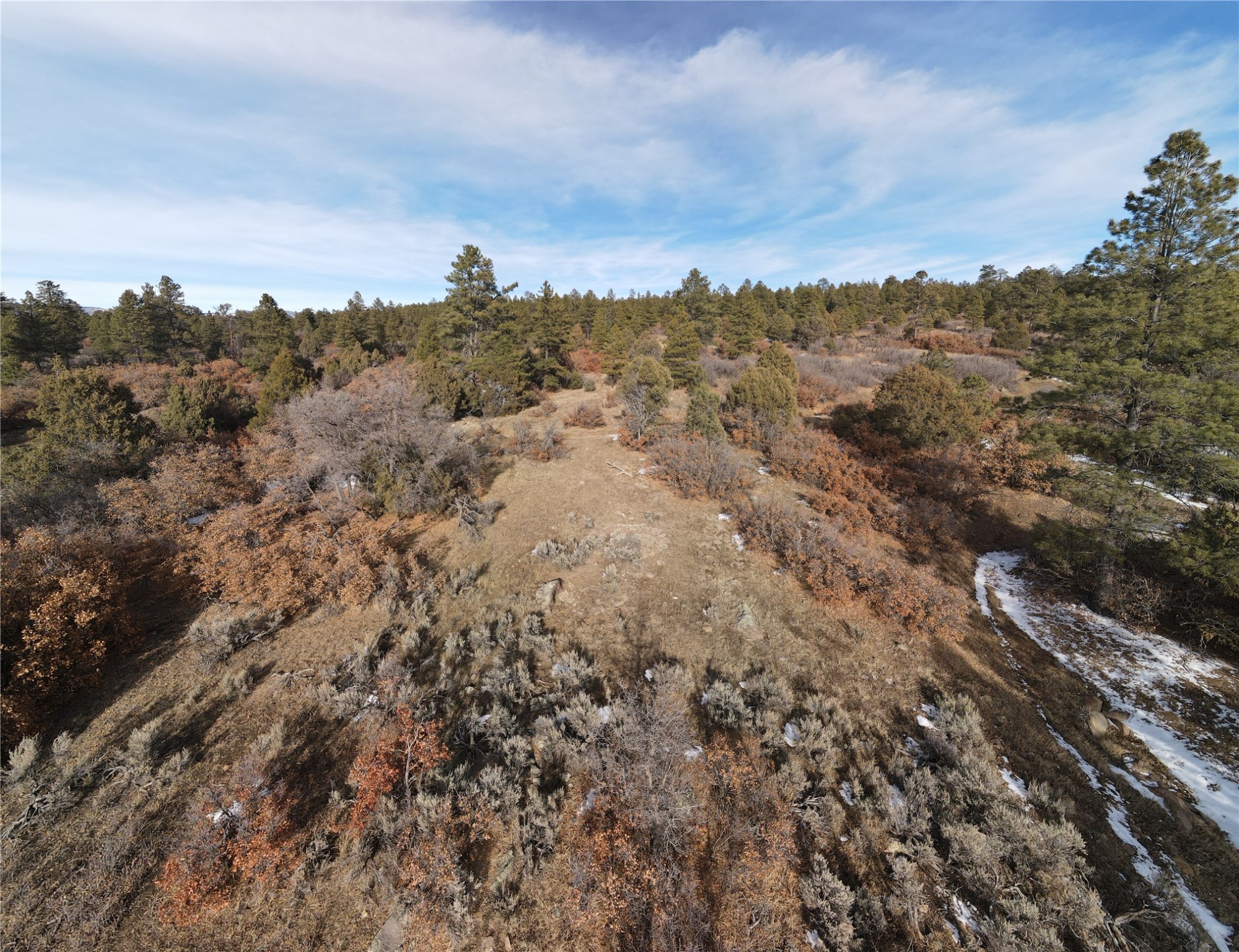 TBD Cr 310, Cebolla, New Mexico image 14