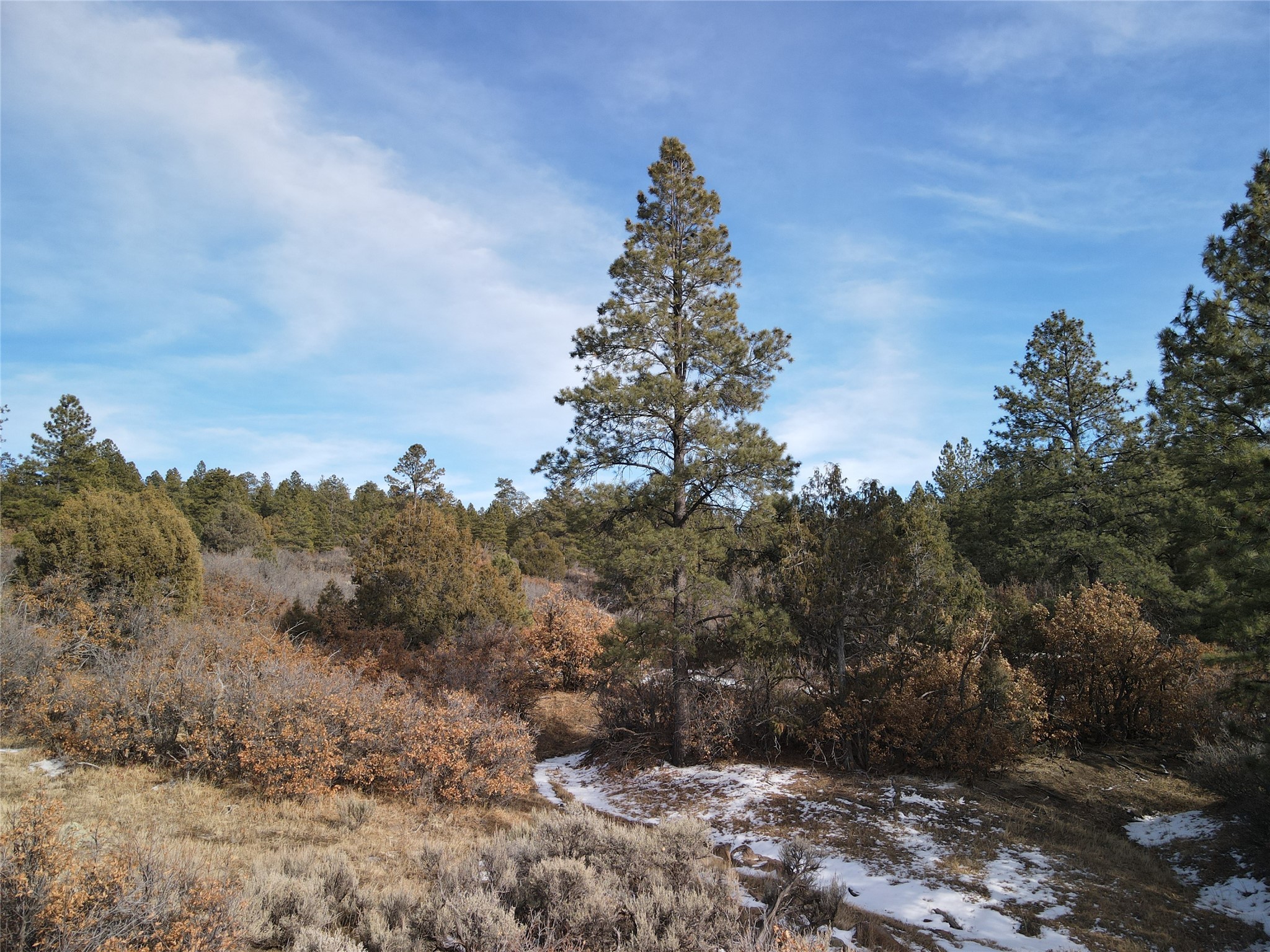 TBD Cr 310, Cebolla, New Mexico image 13