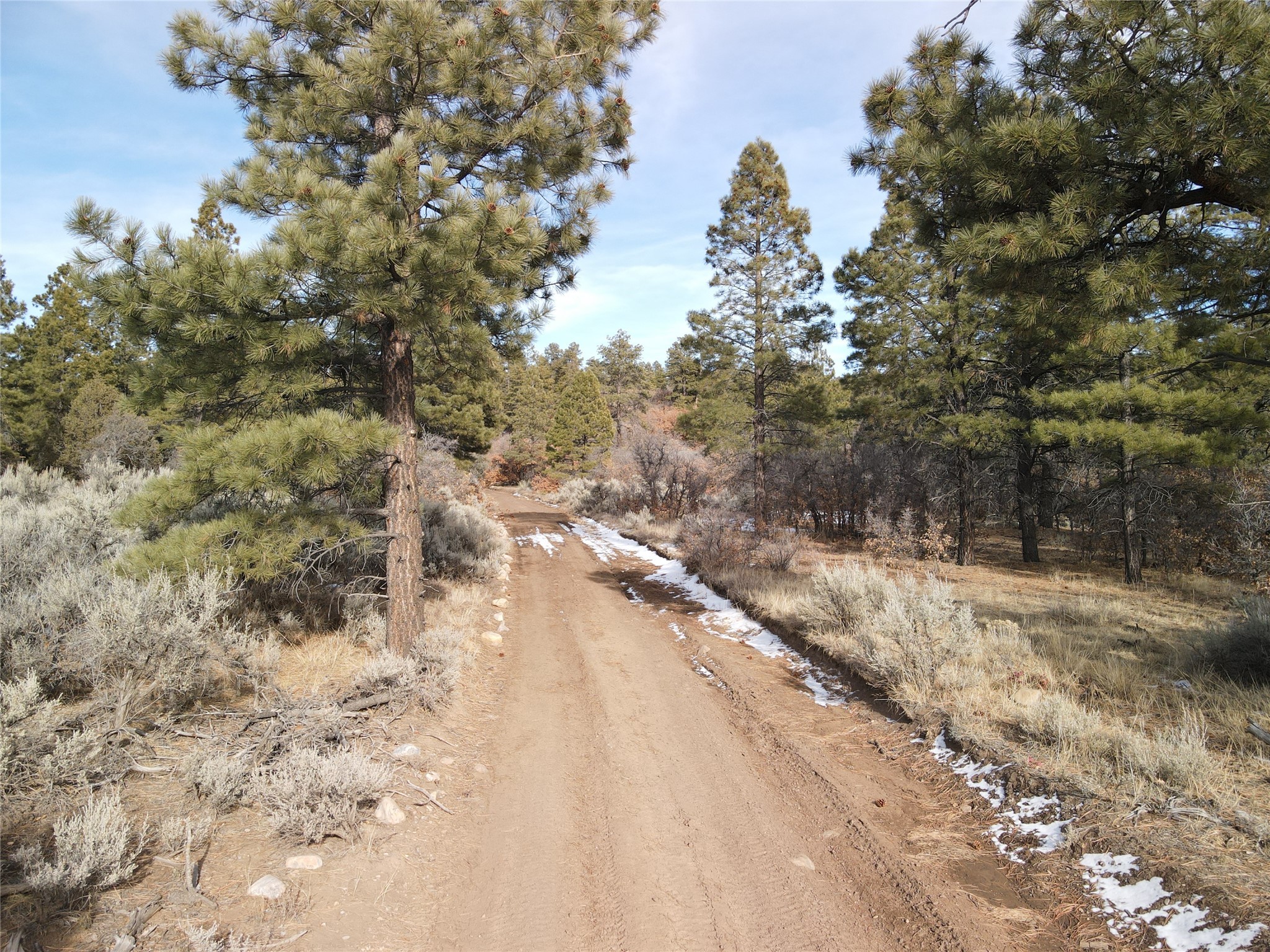 TBD Cr 310, Cebolla, New Mexico image 8
