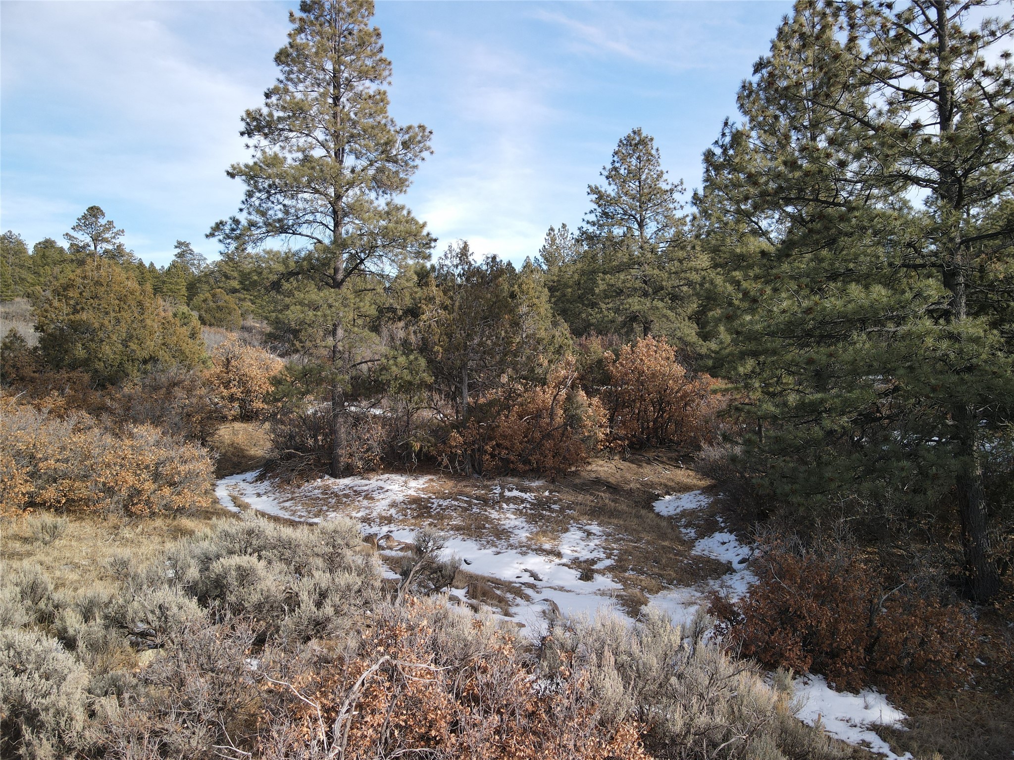 TBD Cr 310, Cebolla, New Mexico image 12