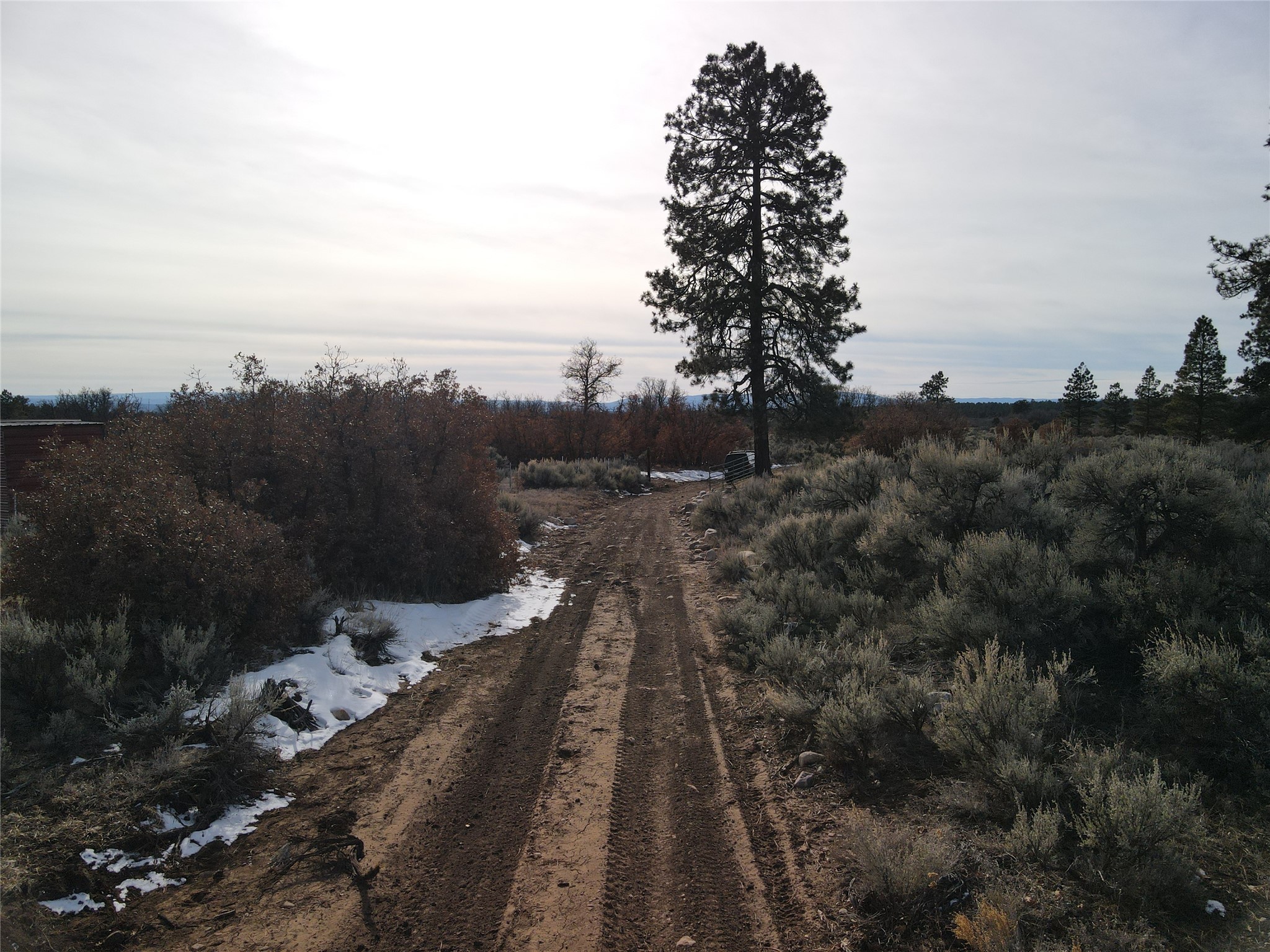 TBD Cr 310, Cebolla, New Mexico image 7