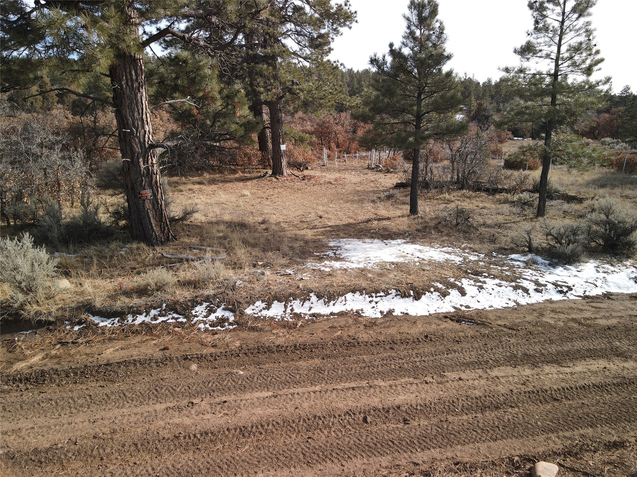TBD Cr 310, Cebolla, New Mexico image 3