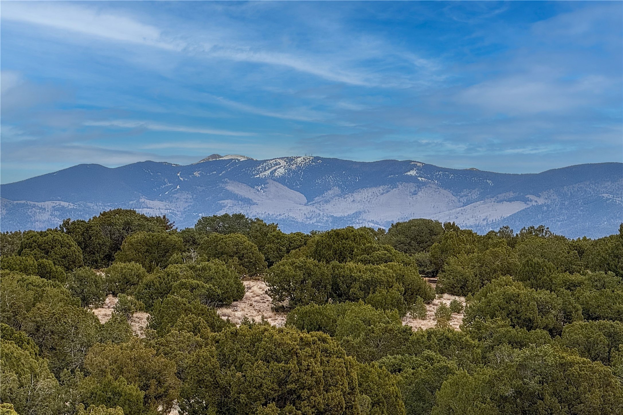 31 Chocolate Flower Circle