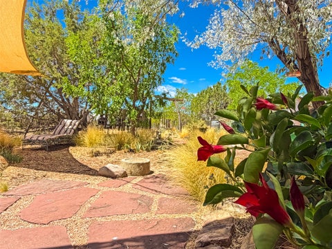 Tiny photo for 195 Horny Toad RD, Cerrillos, NM 87010 (MLS # 202603631)