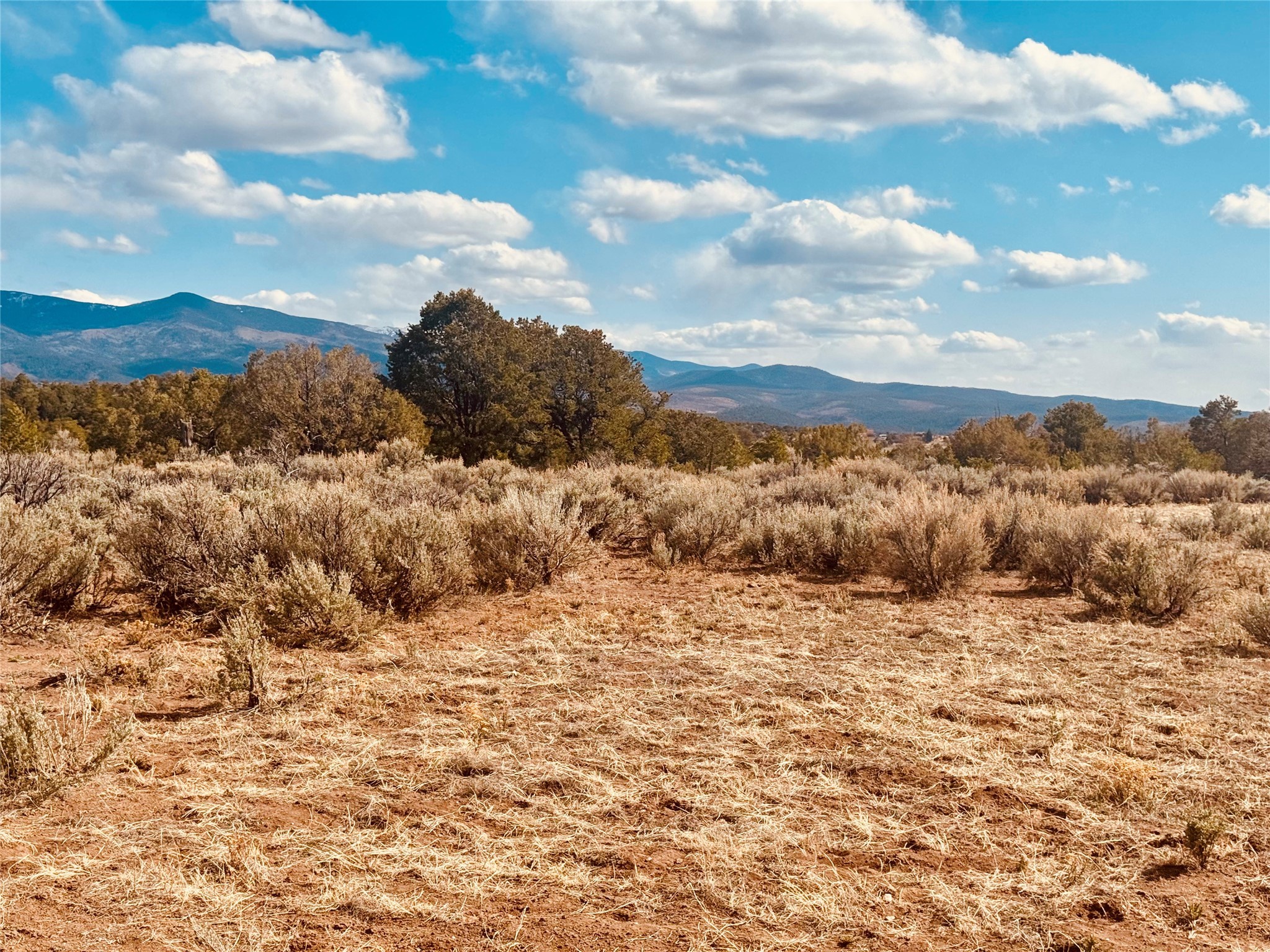 1-059-124-400-421 Racr 77, Truchas, New Mexico image 4