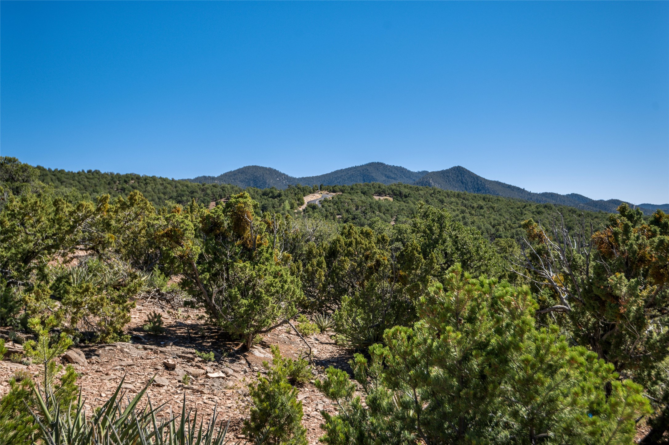 2051 Cerros Altos, Santa Fe, New Mexico image 26