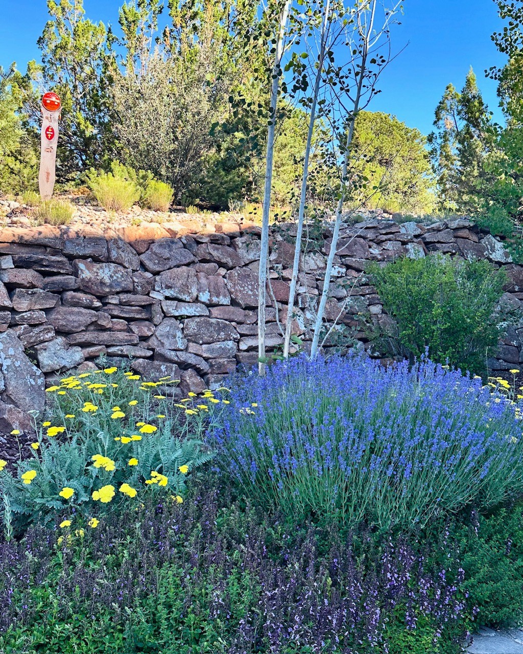 22 Loma Serena, Santa Fe, New Mexico image 49