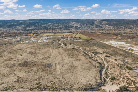 Vacant Land For Sale - County Road 41<br/> Alcalde, NM 87511