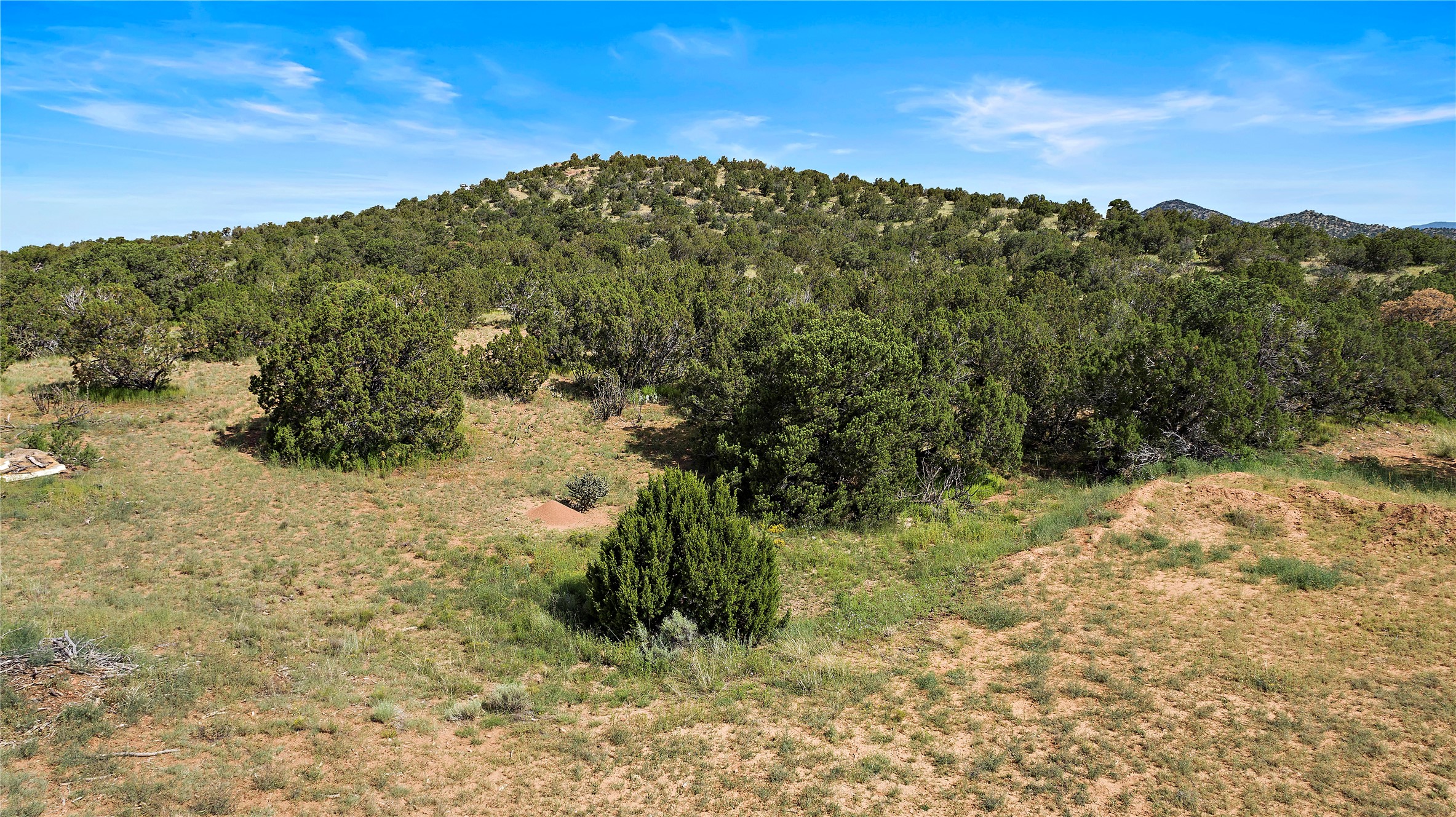 Santa Fe, New Mexico 87508, United States, ,Commercial,Active,74447