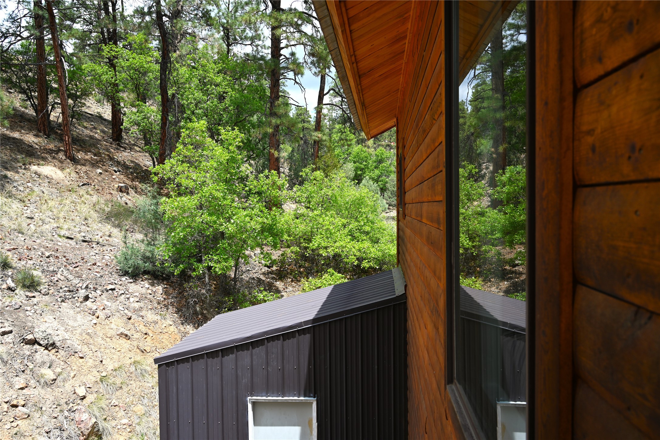 72 Buena Vista Dr Dr, Los Ojos, New Mexico image 35