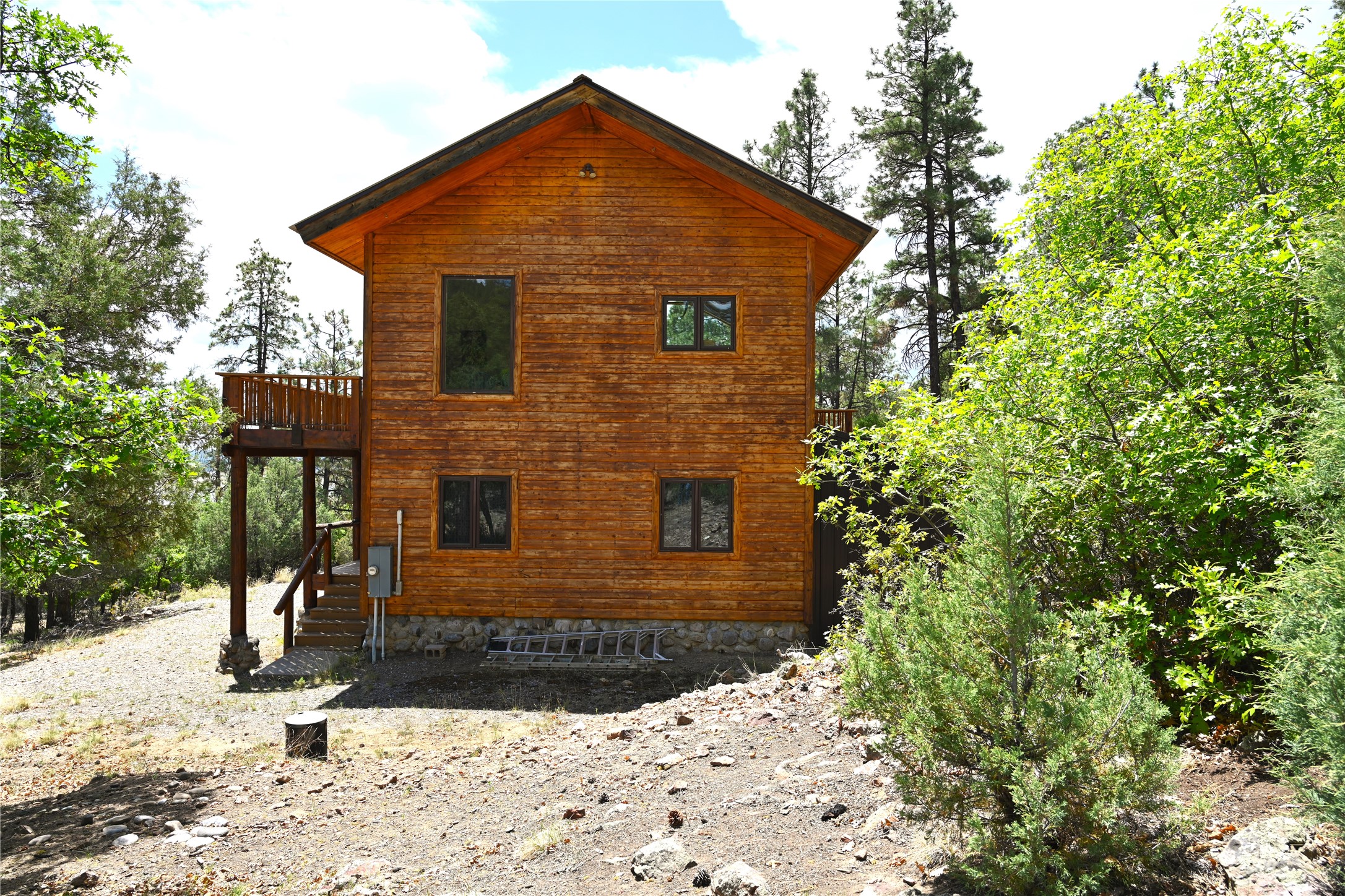 72 Buena Vista Dr Dr, Los Ojos, New Mexico image 3