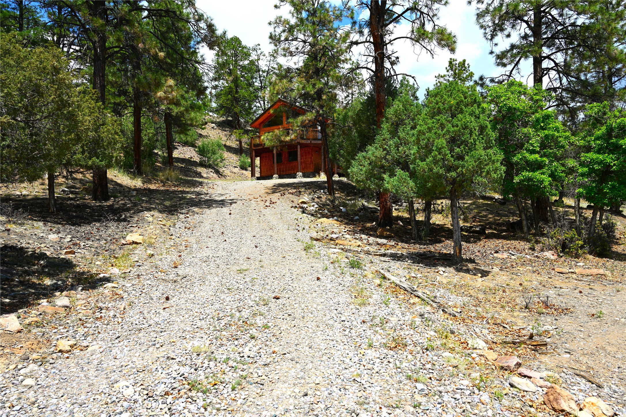 72 Buena Vista Dr Dr, Los Ojos, New Mexico image 6