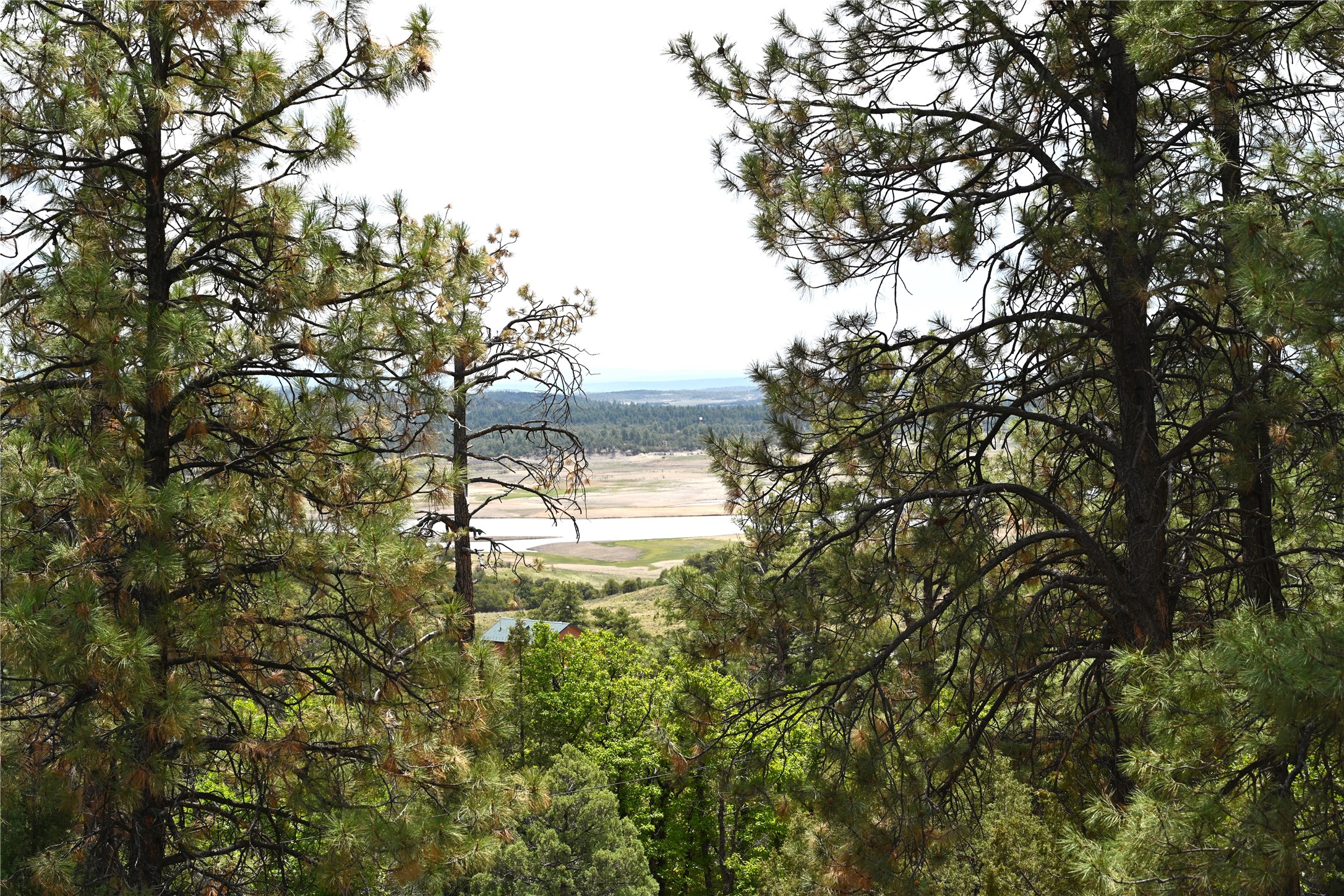 72 Buena Vista Dr Dr, Los Ojos, New Mexico image 32