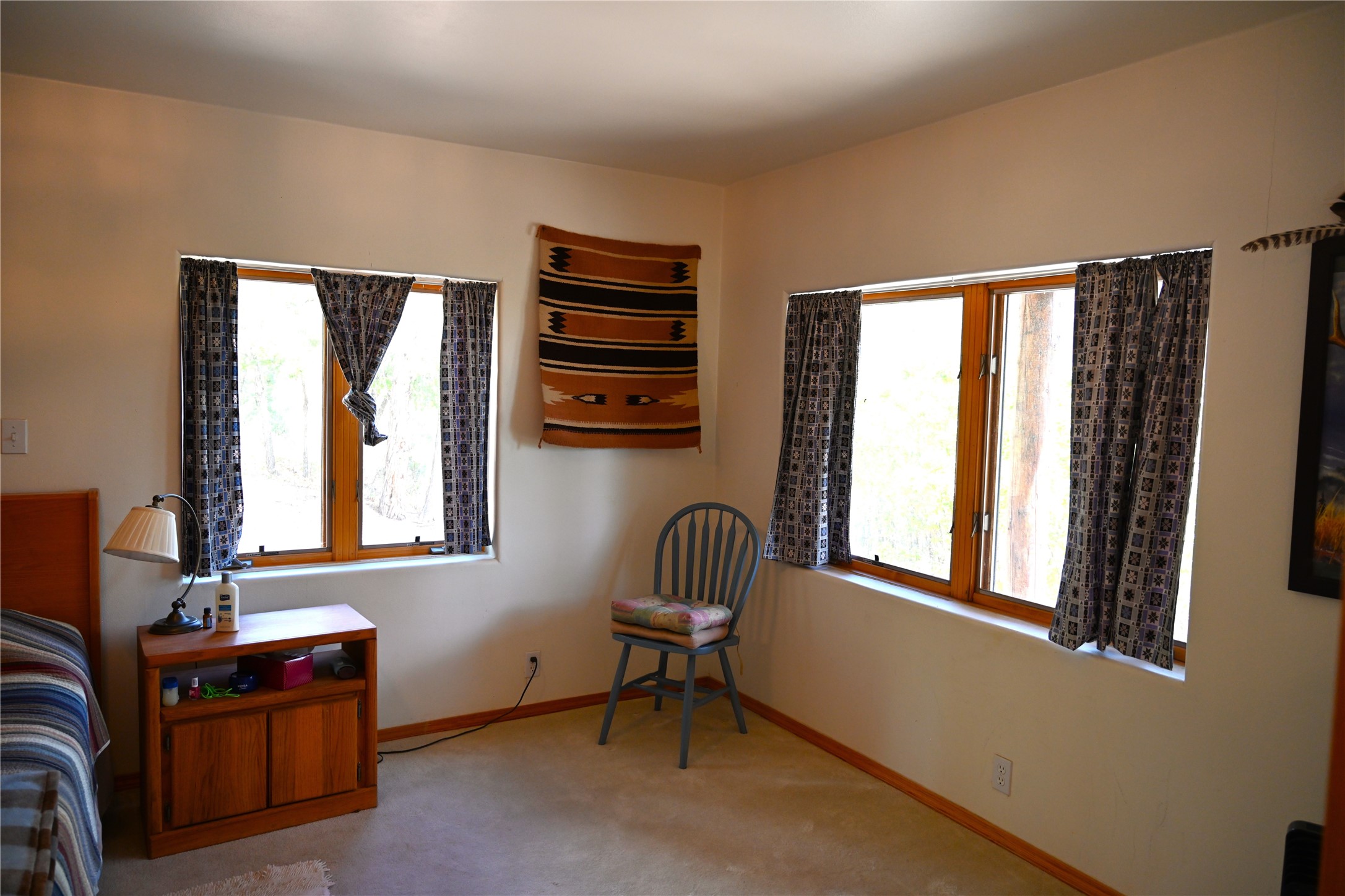 72 Buena Vista Dr Dr, Los Ojos, New Mexico image 15