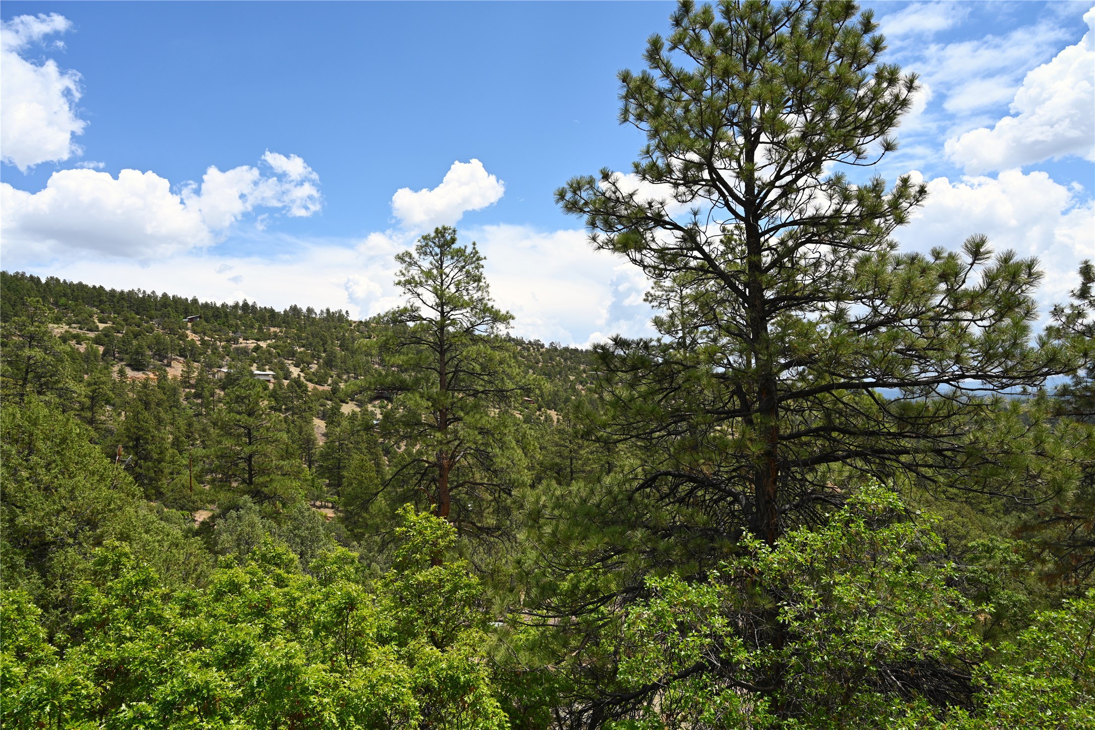 72 Buena Vista Dr Dr, Los Ojos, New Mexico image 43