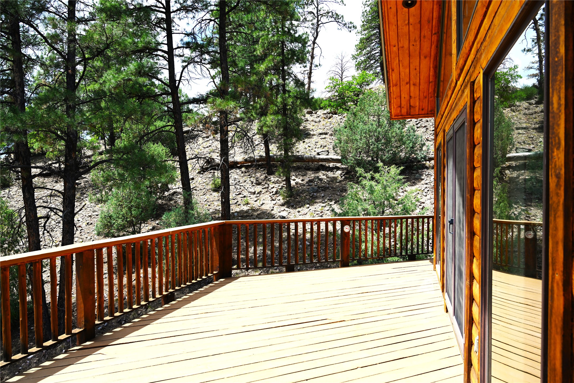 72 Buena Vista Dr Dr, Los Ojos, New Mexico image 36