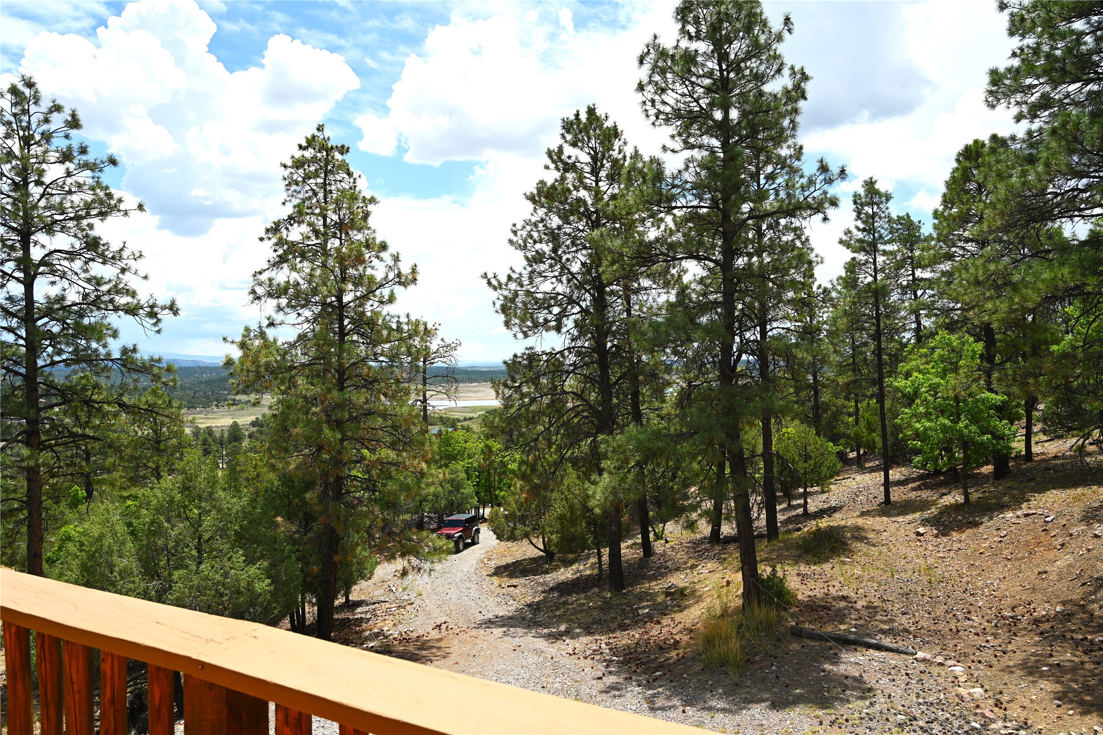 72 Buena Vista Dr Dr, Los Ojos, New Mexico image 31