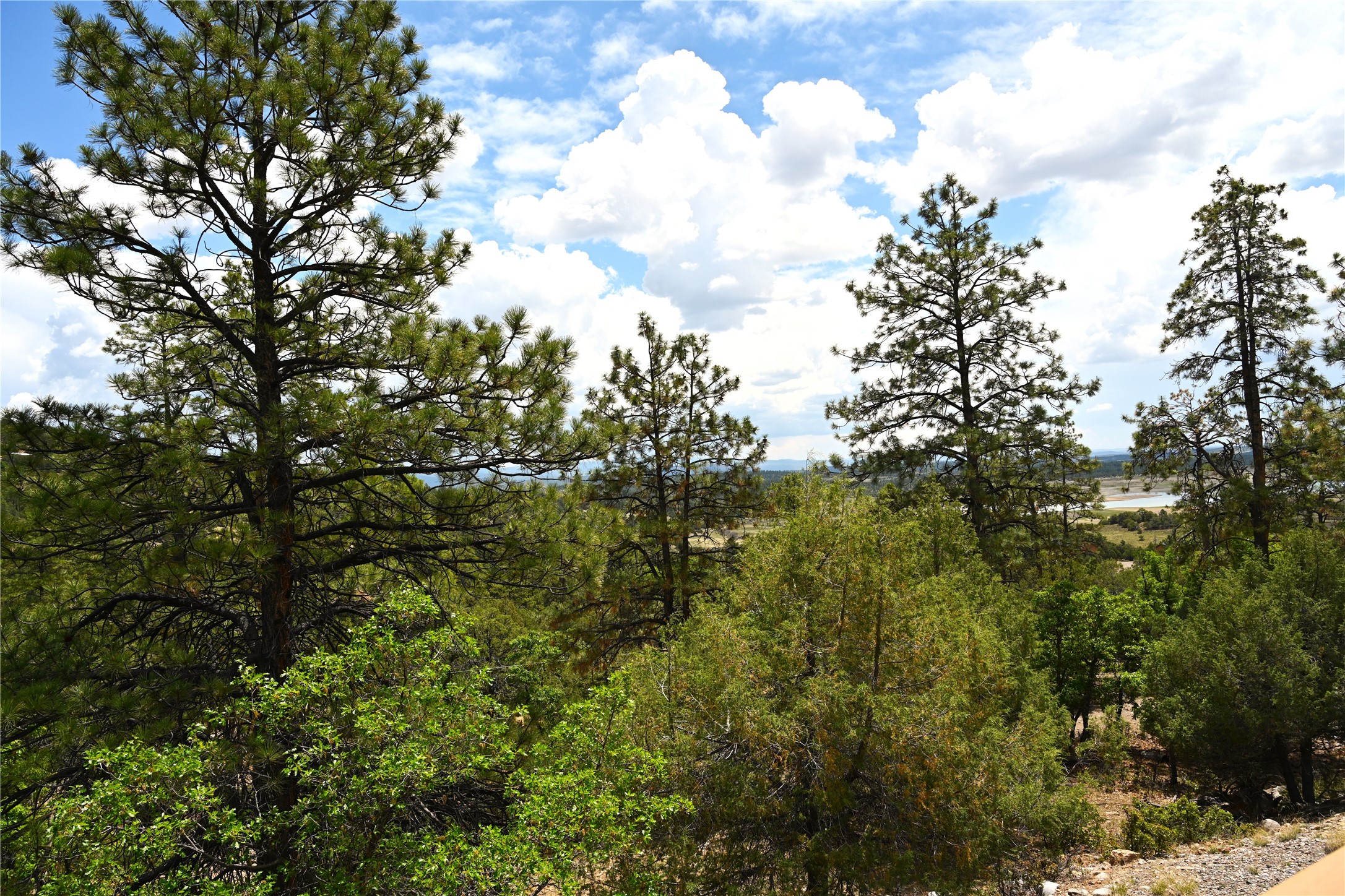 72 Buena Vista Dr Dr, Los Ojos, New Mexico image 44