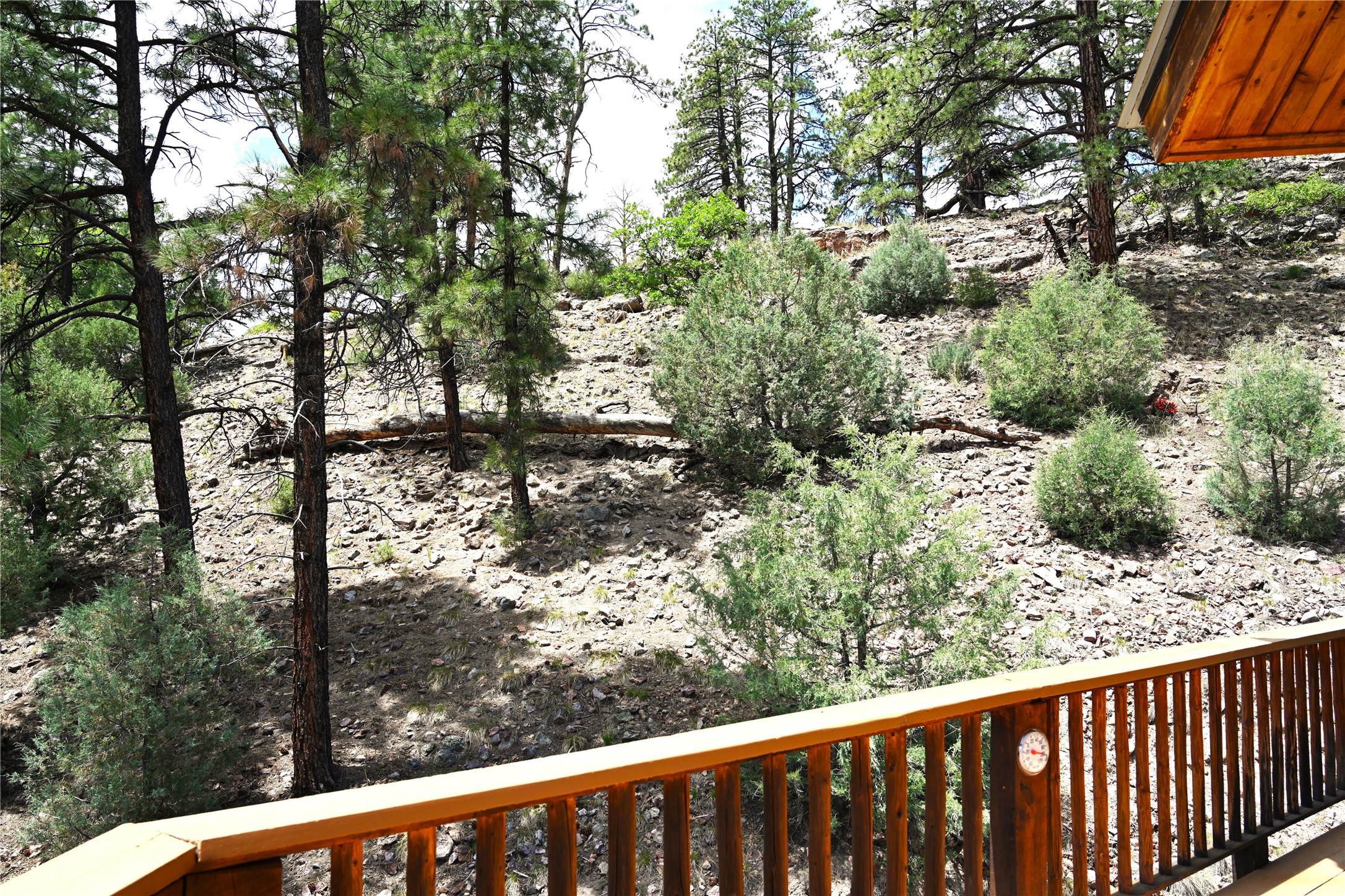 72 Buena Vista Dr Dr, Los Ojos, New Mexico image 34